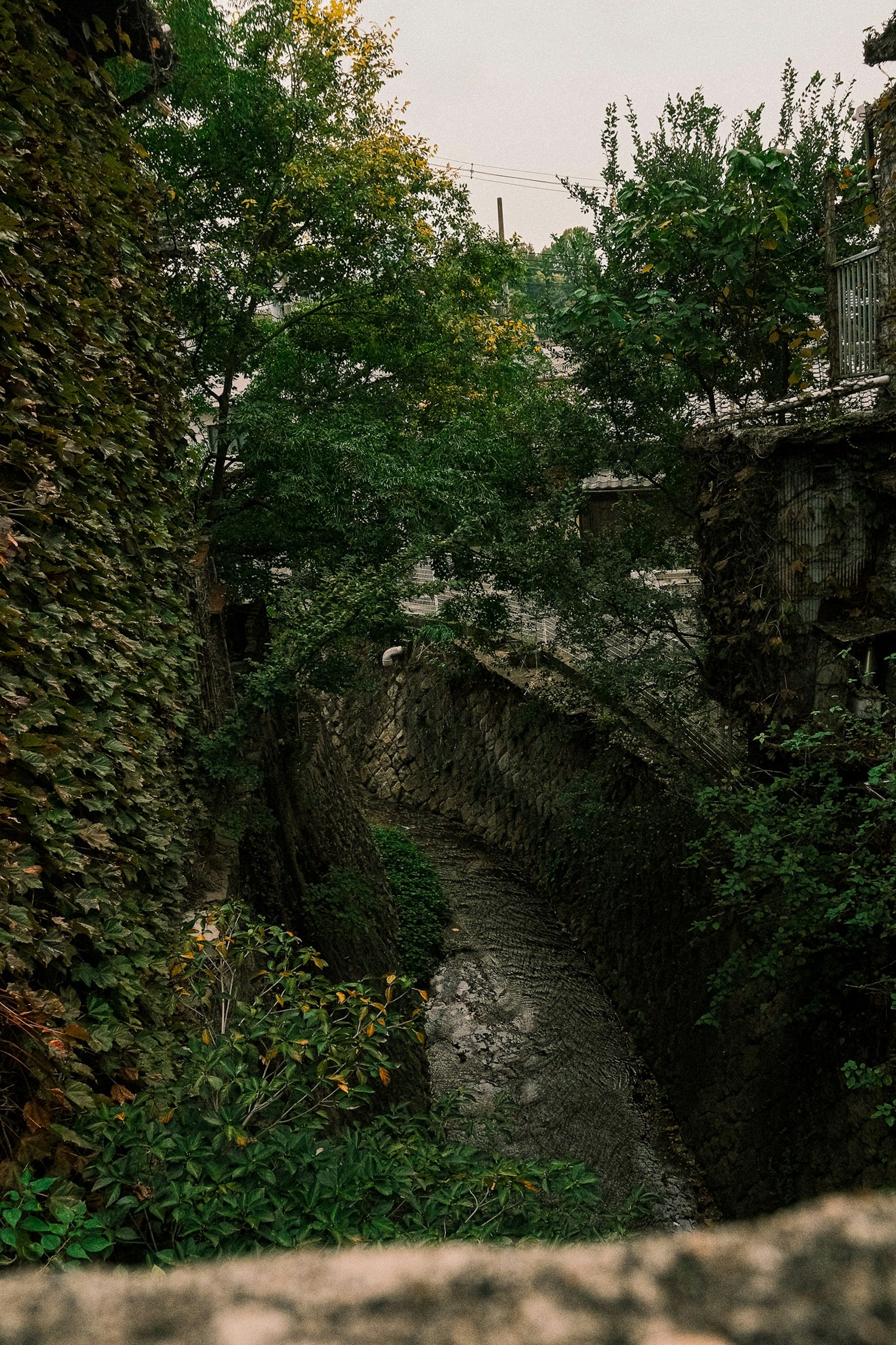 A small canyon surrounded by lush trees and stone walls