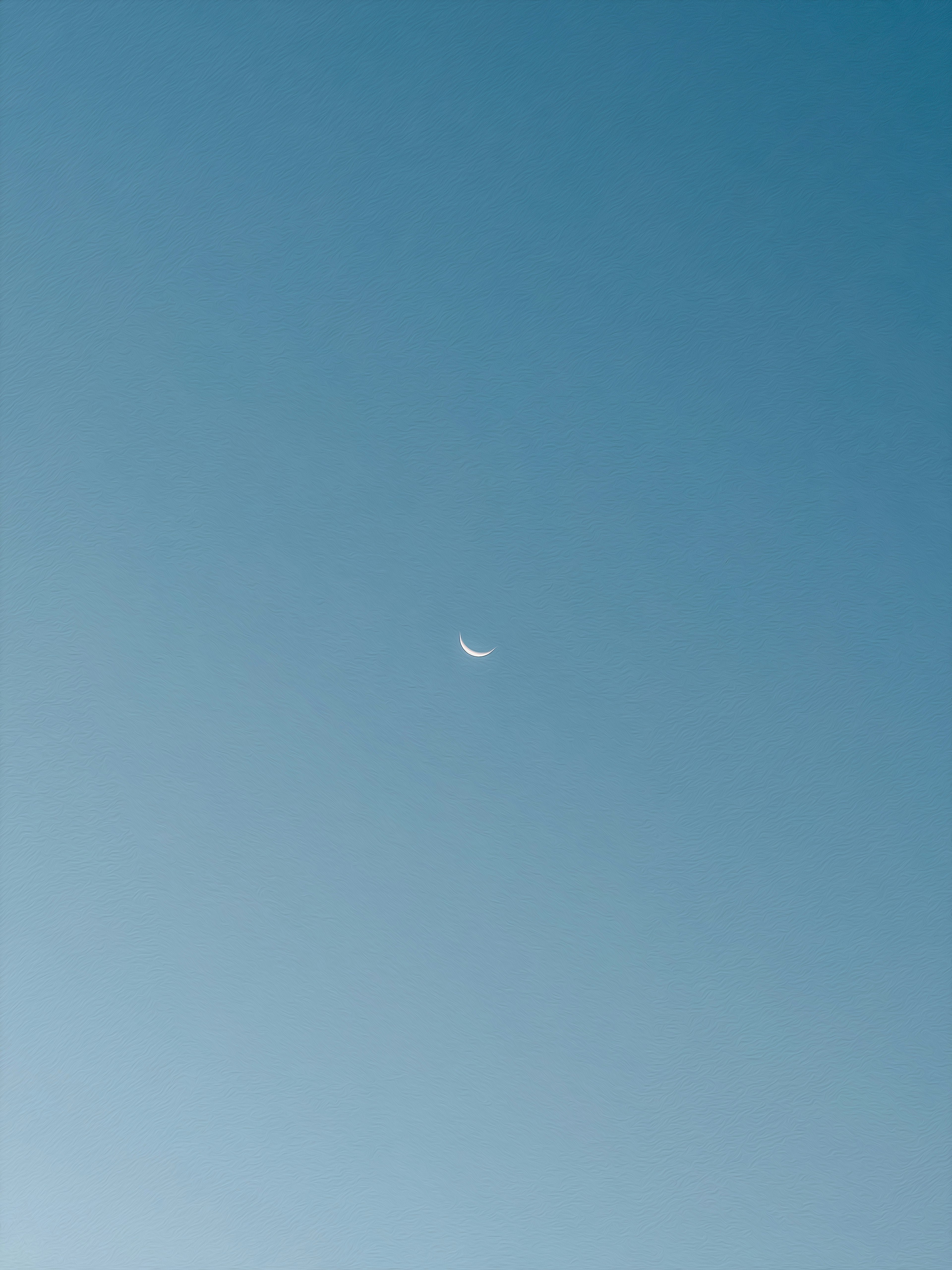 青空に浮かぶ白い飛行機