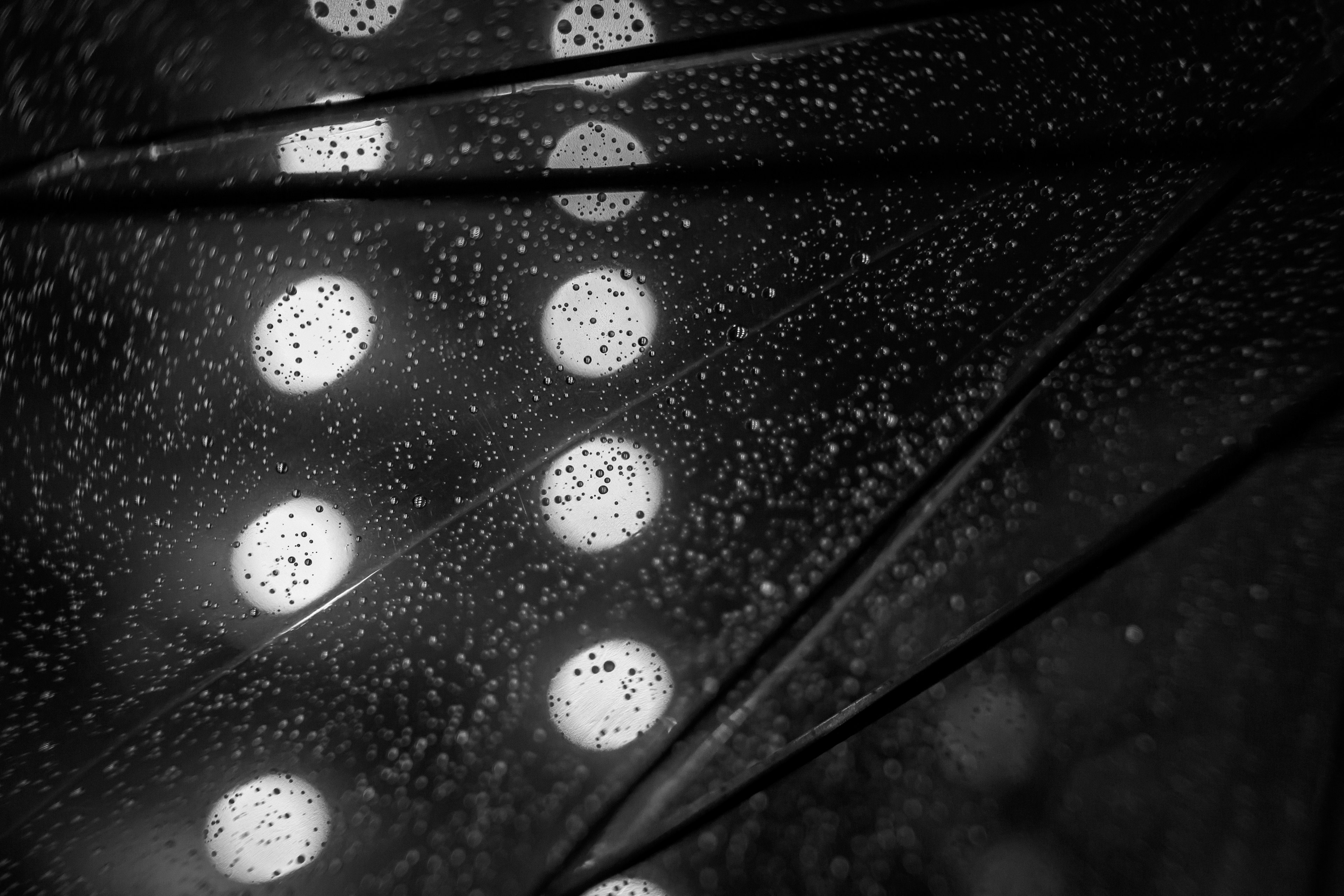 Close-up of water droplets on a black umbrella with illuminated dots