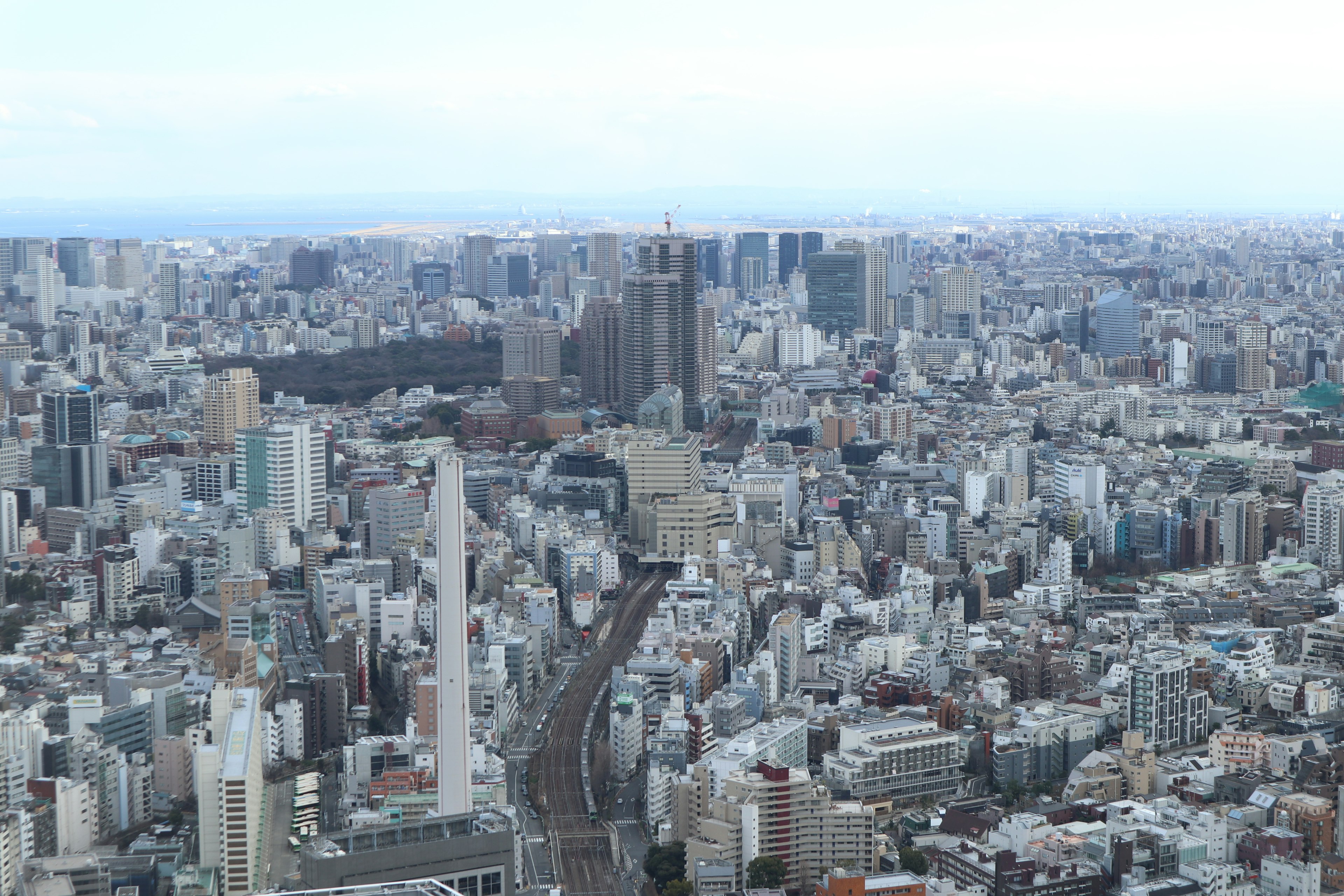 Panoramablick auf die Stadtlandschaft von Tokio mit Wolkenkratzern und Wohngebieten