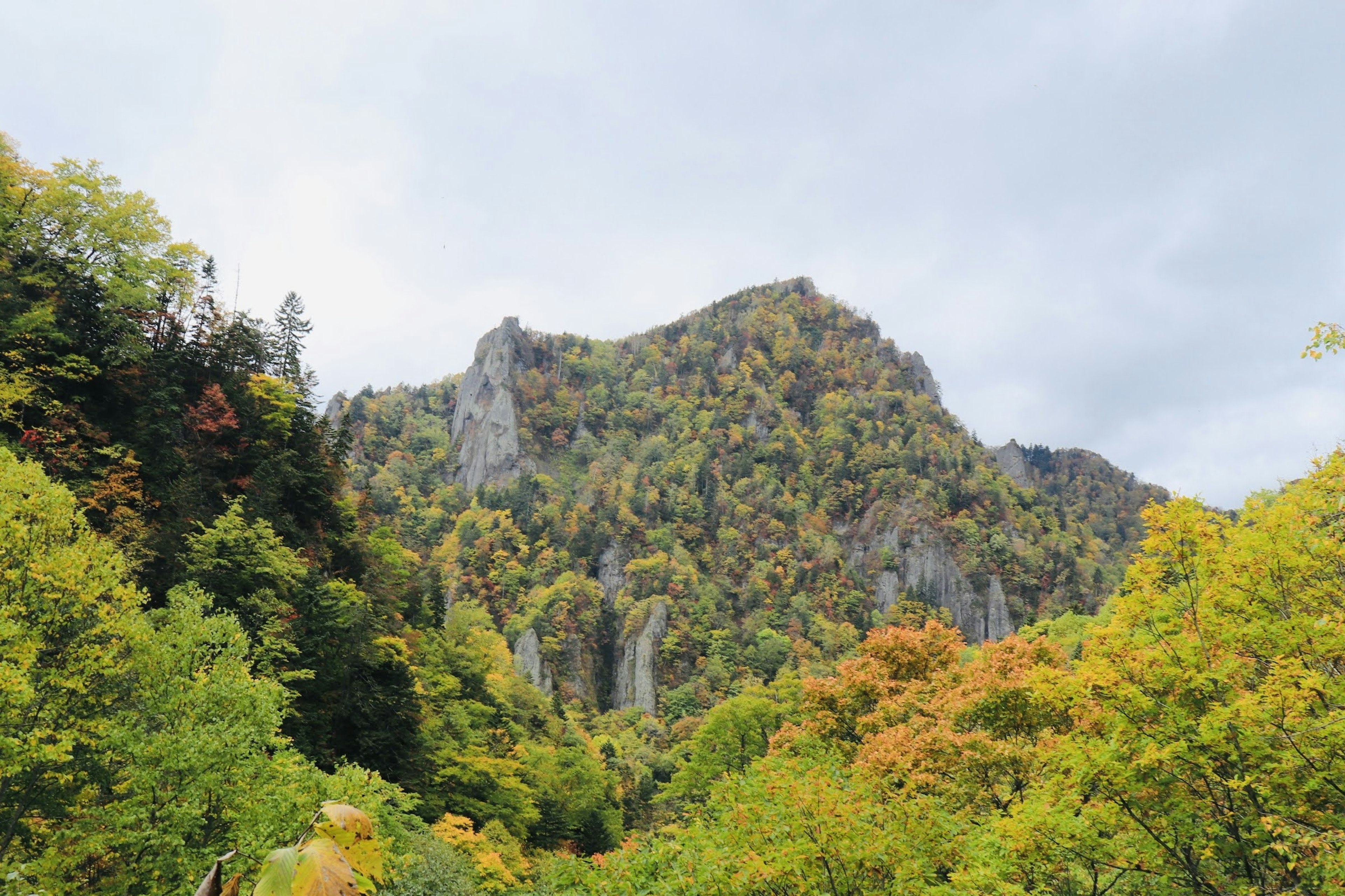 Paysage de montagne entouré d'arbres colorés