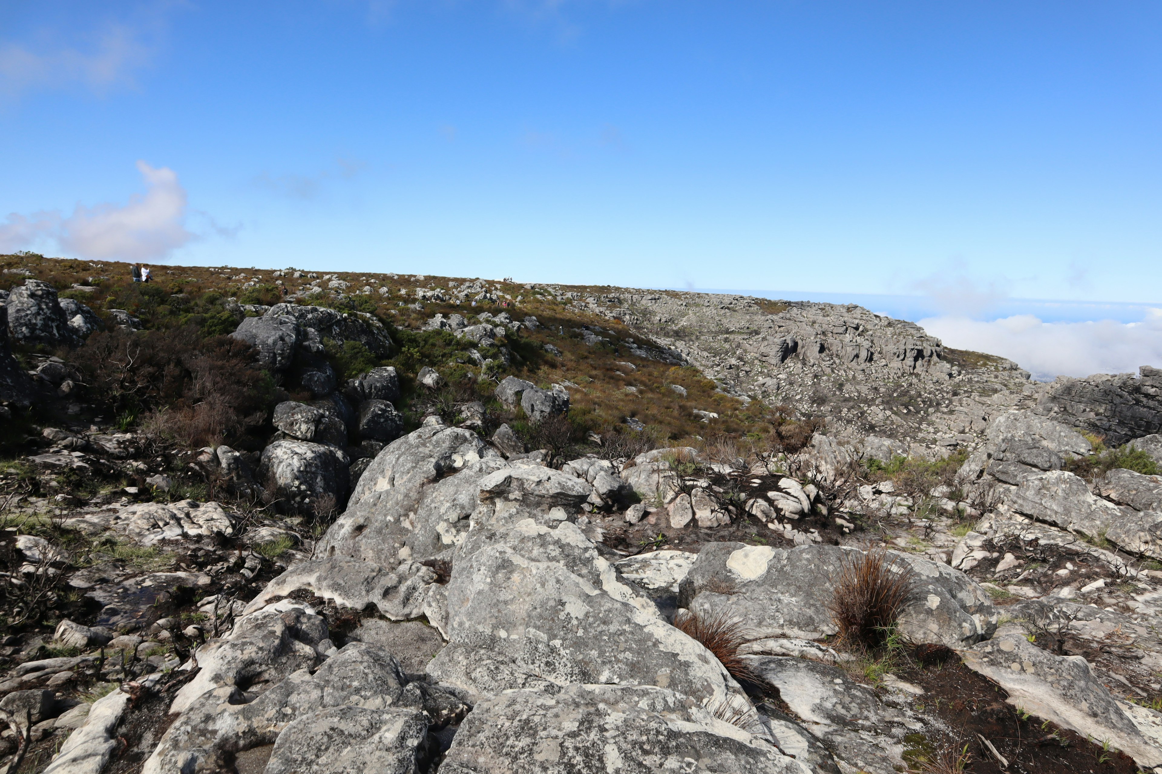 Rocky landscape with sparse vegetation under a clear blue sky