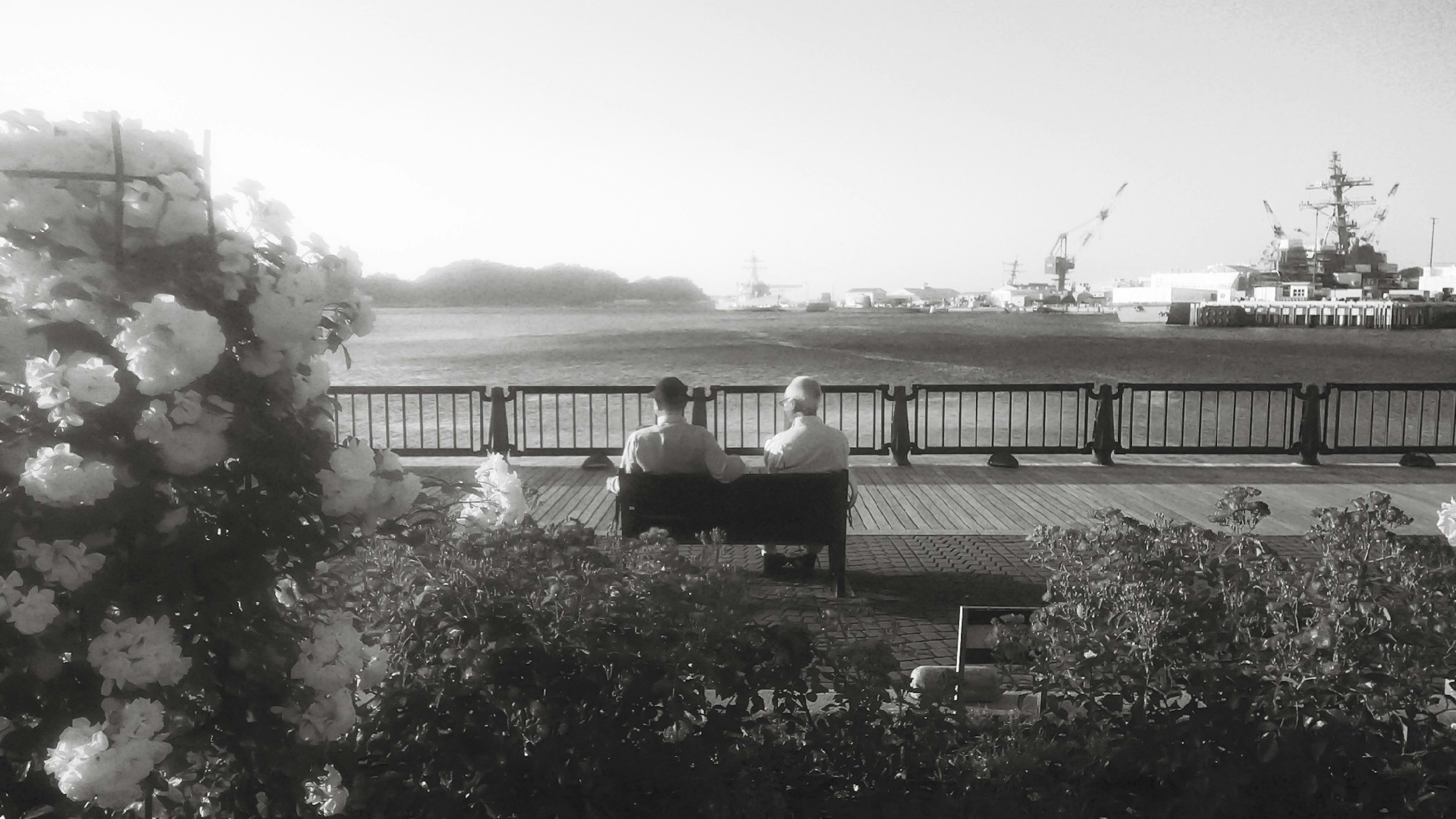 Black and white scene featuring two people on a bench with flowers by the waterfront