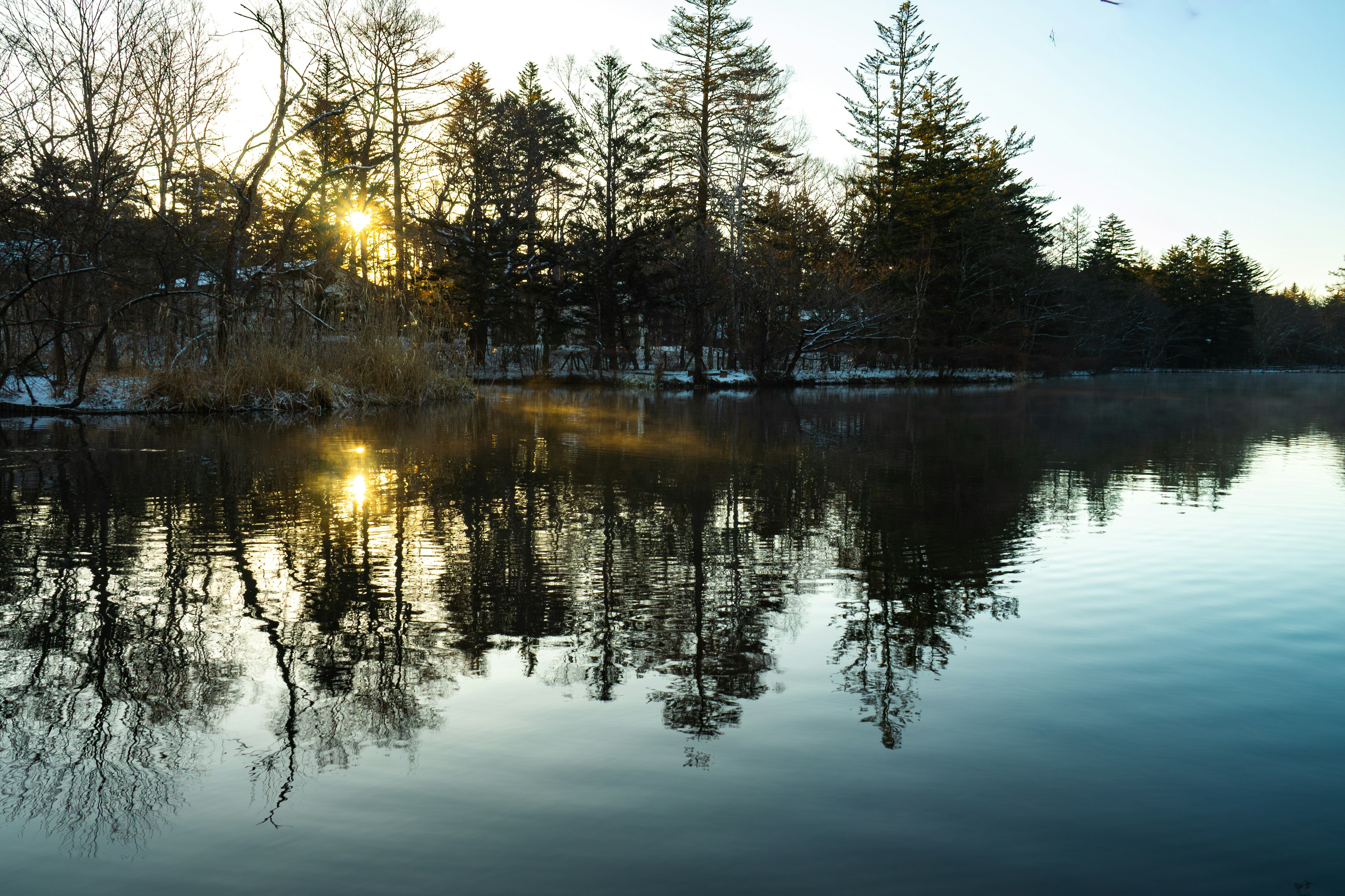 Lago tranquilo reflejando árboles y atardecer