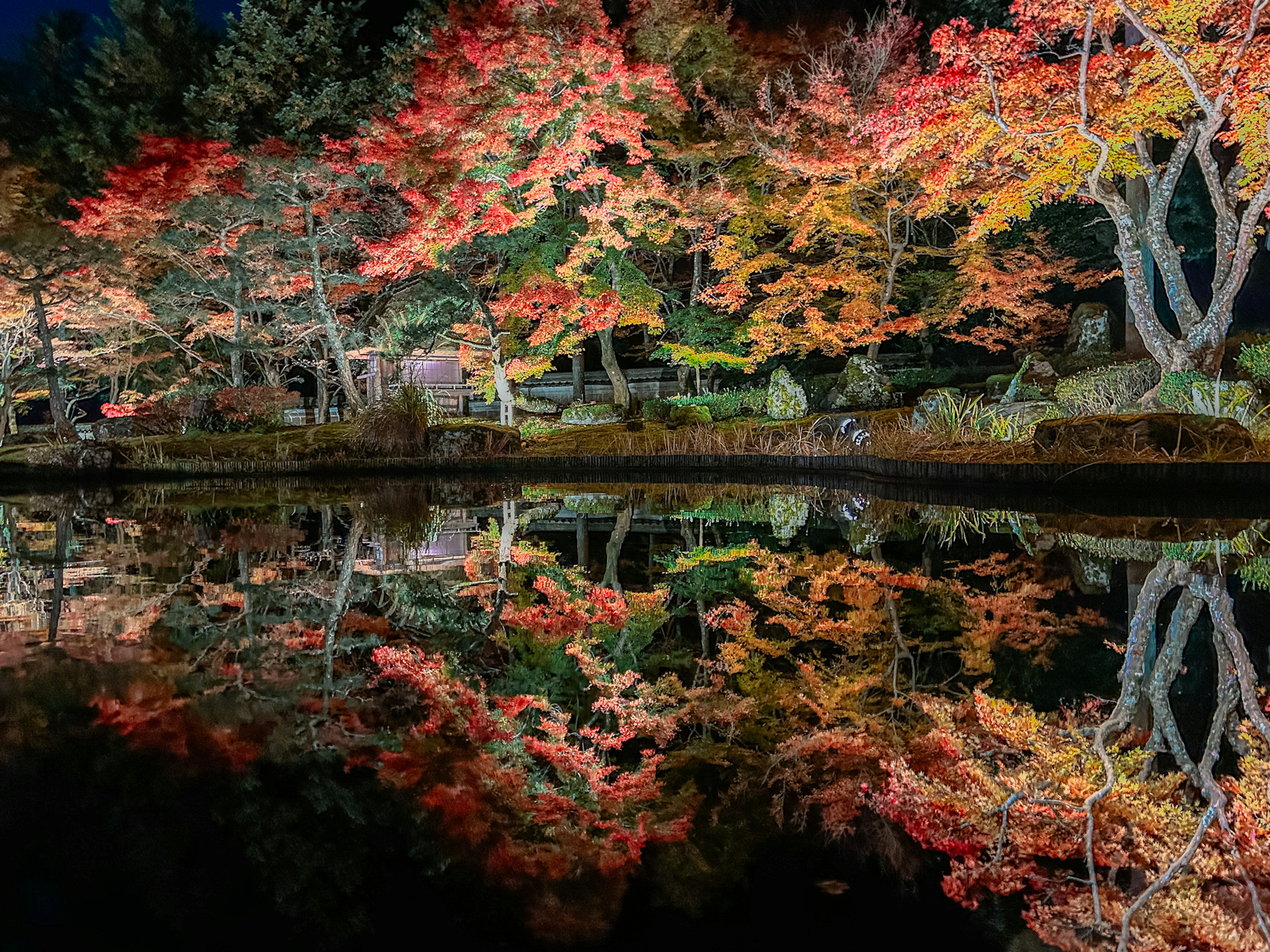 美麗的夜景與色彩斑斕的秋葉及其倒影