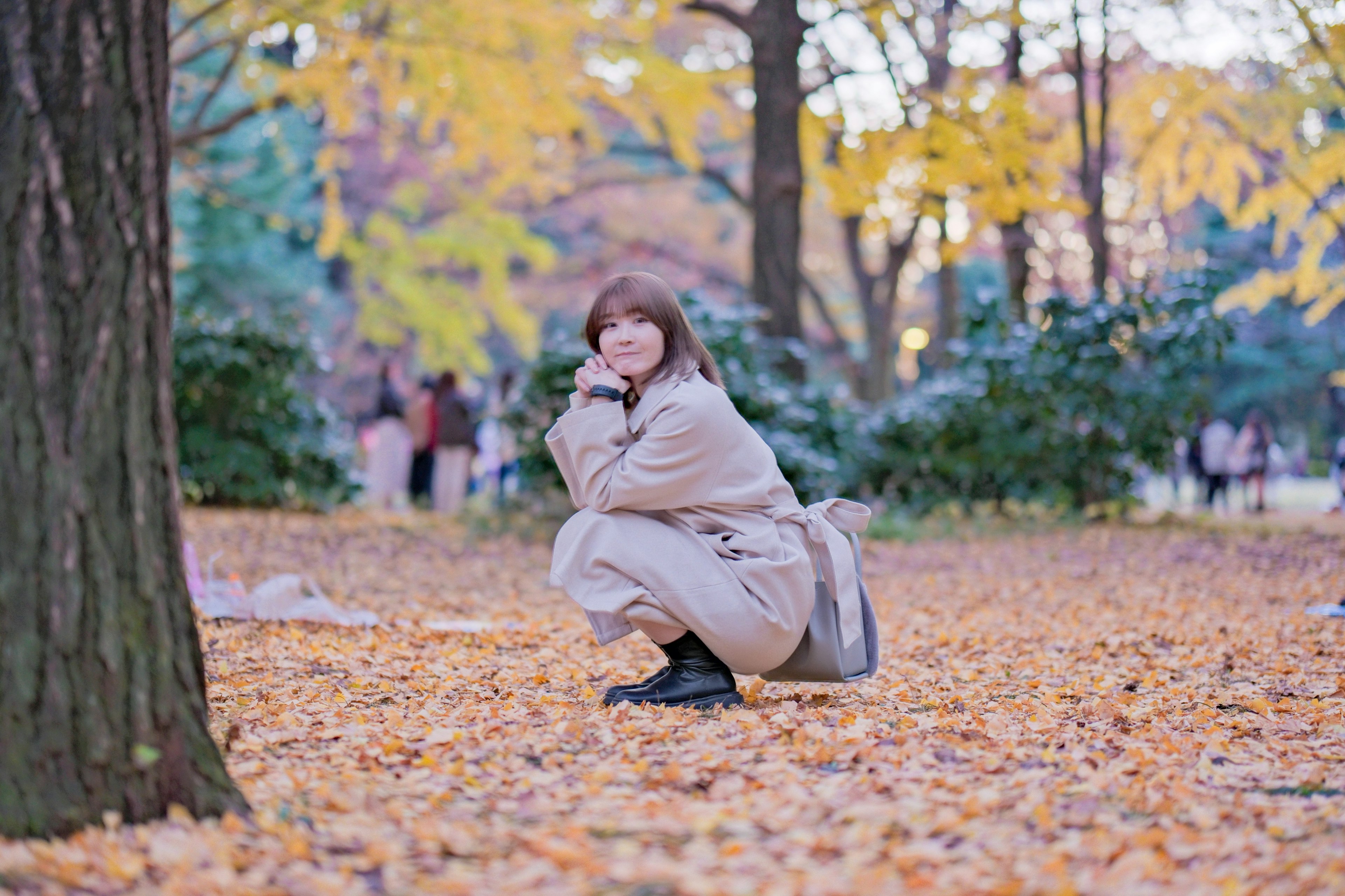 公園の黄色い葉の中でしゃがんでいる女性