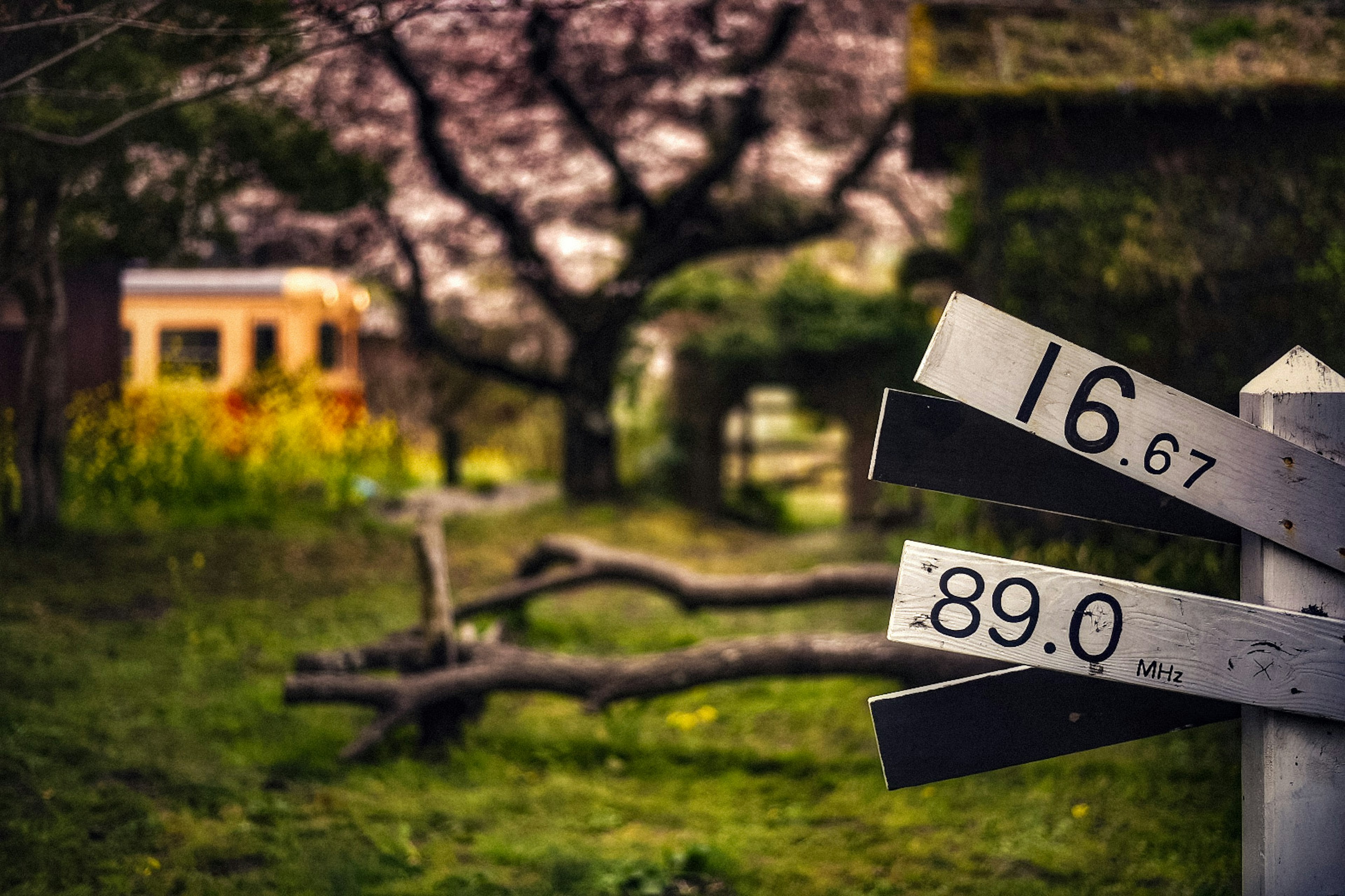 Papan penunjuk arah dengan angka di ladang hijau dekat pohon sakura dan kabin kecil