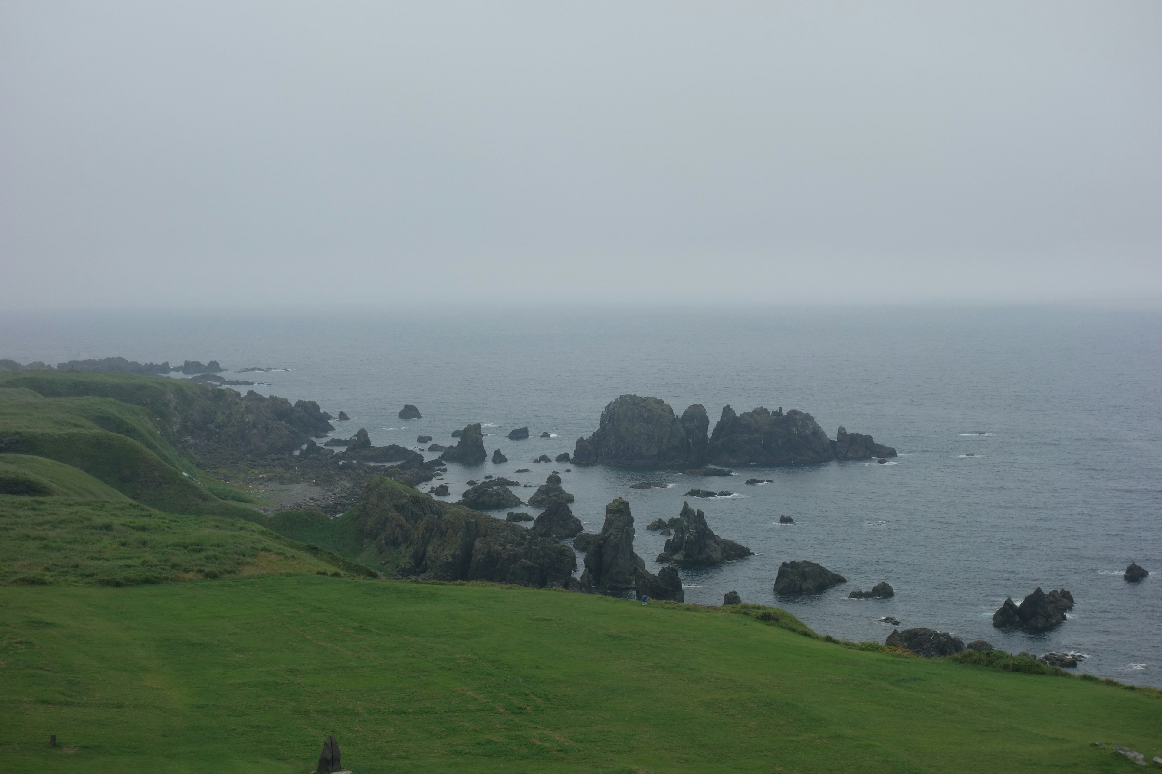 Foggy coastline with rocky formations and green fields