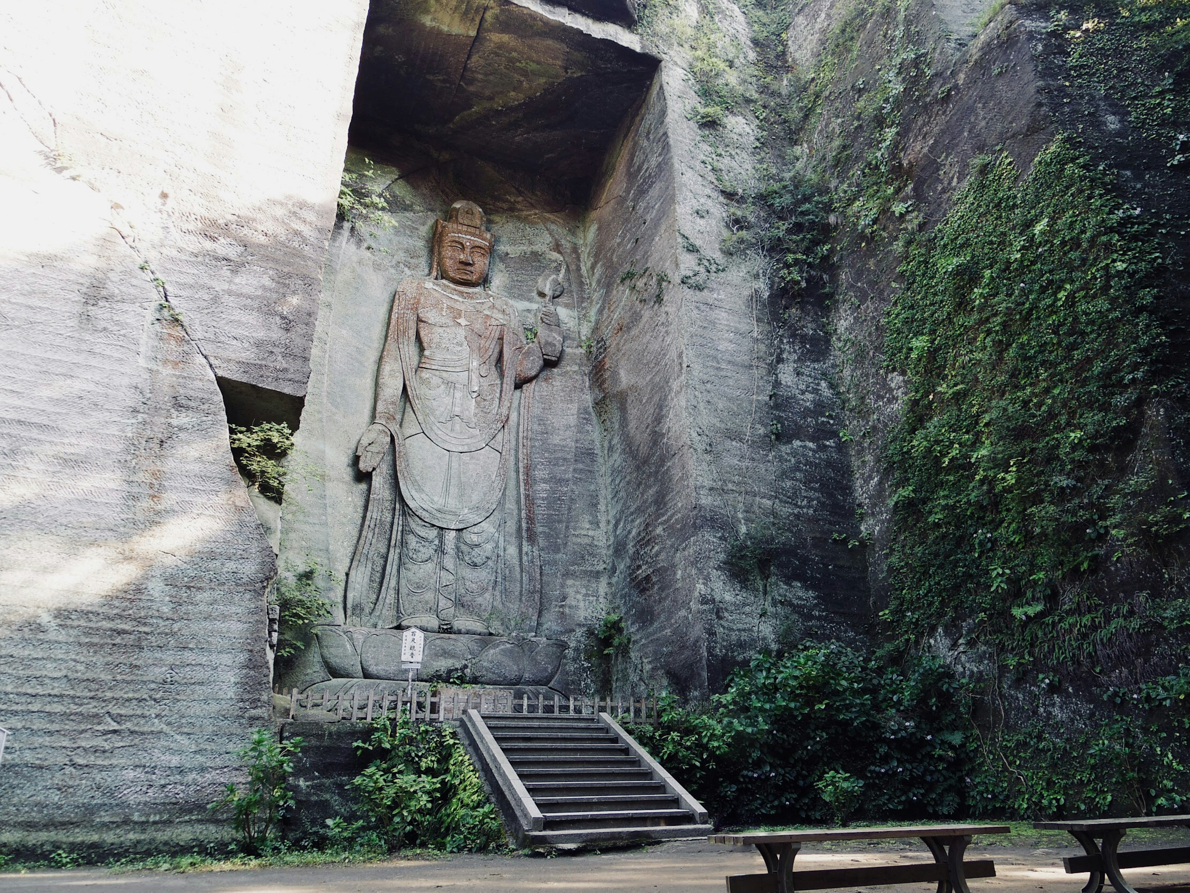 Una grande statua di Buddha scolpita nella roccia circondata da vegetazione