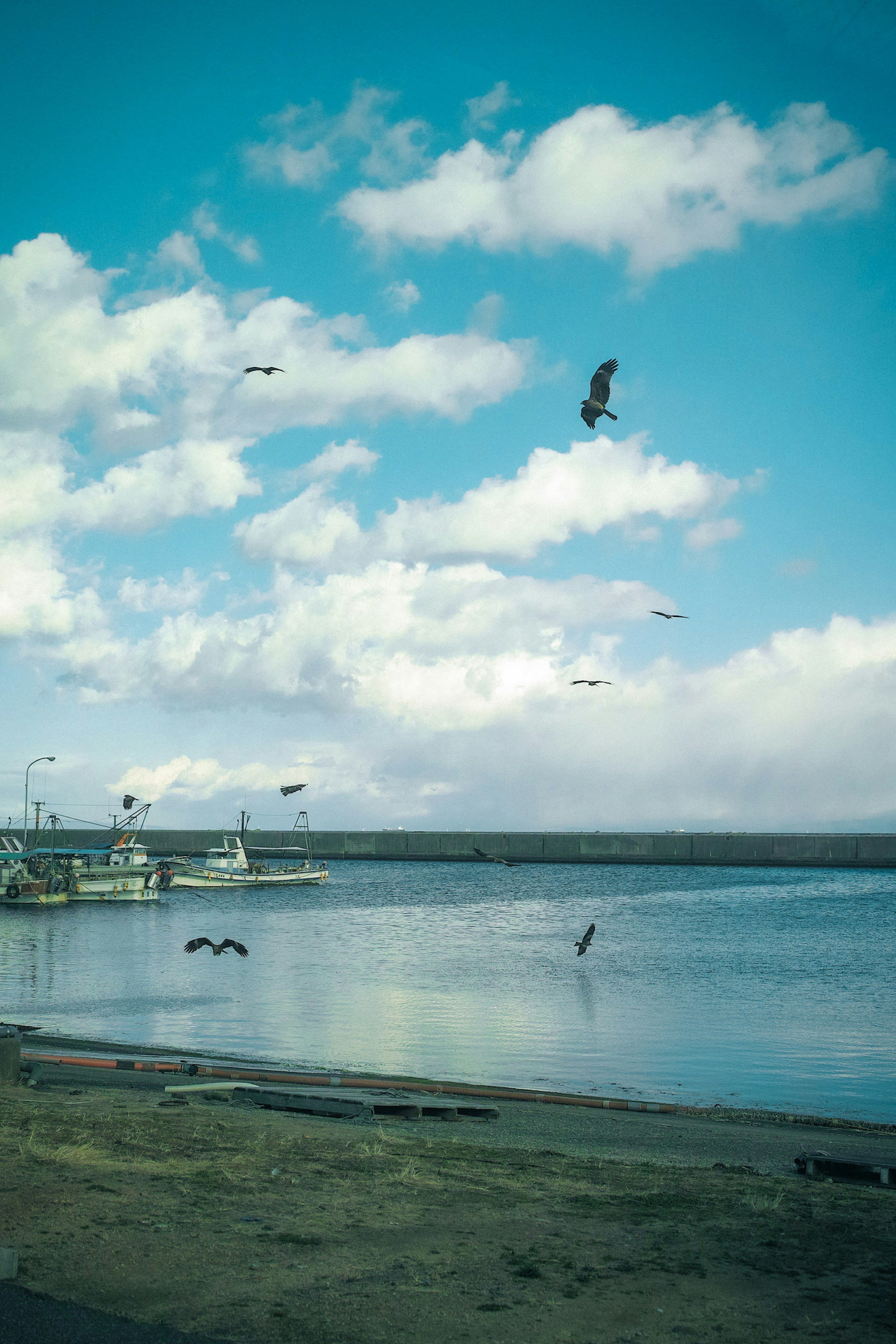 photo-iT80yUTbL9vvVmQv03bS-image