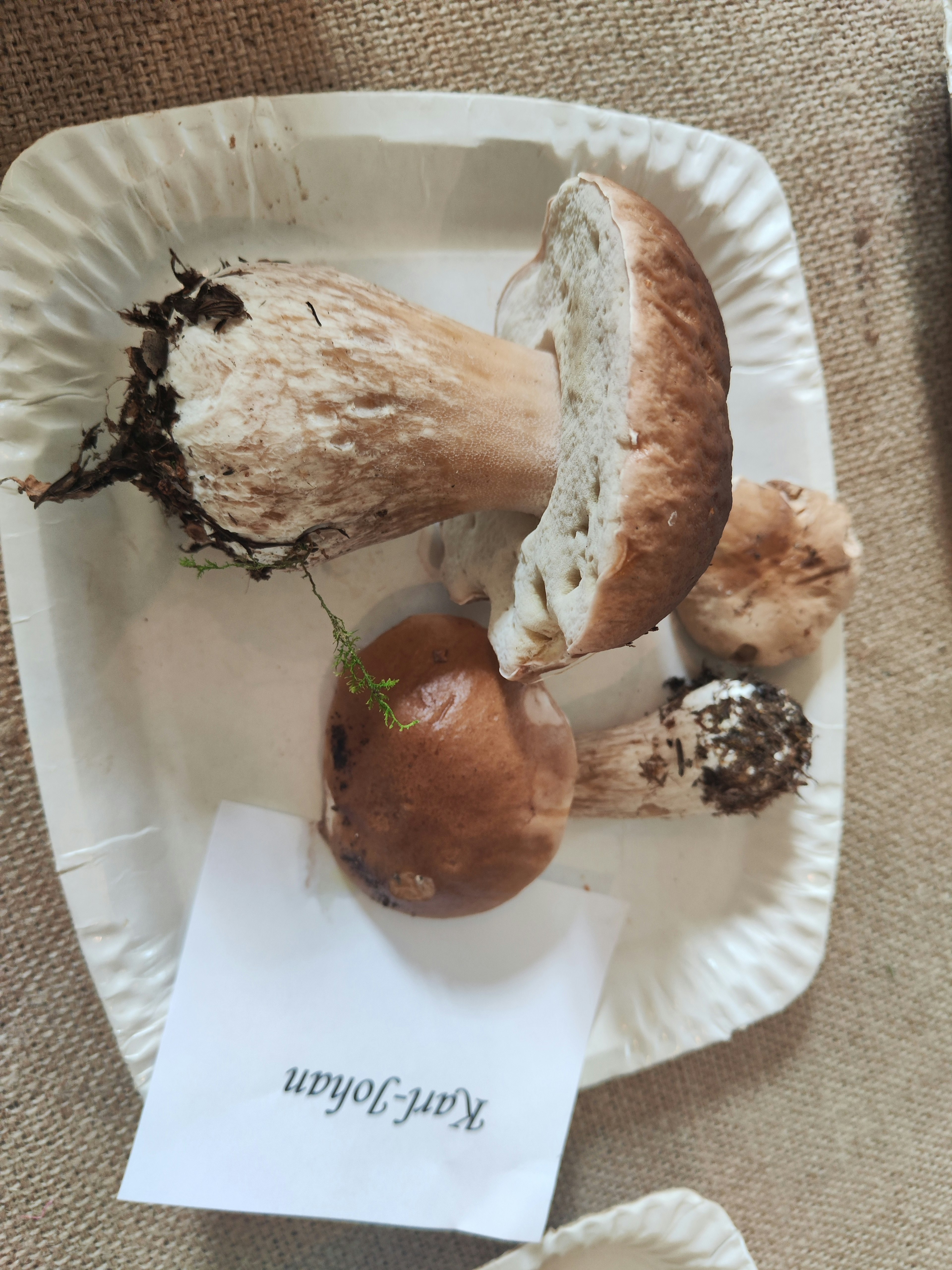 A variety of mushrooms displayed on a paper plate with a label