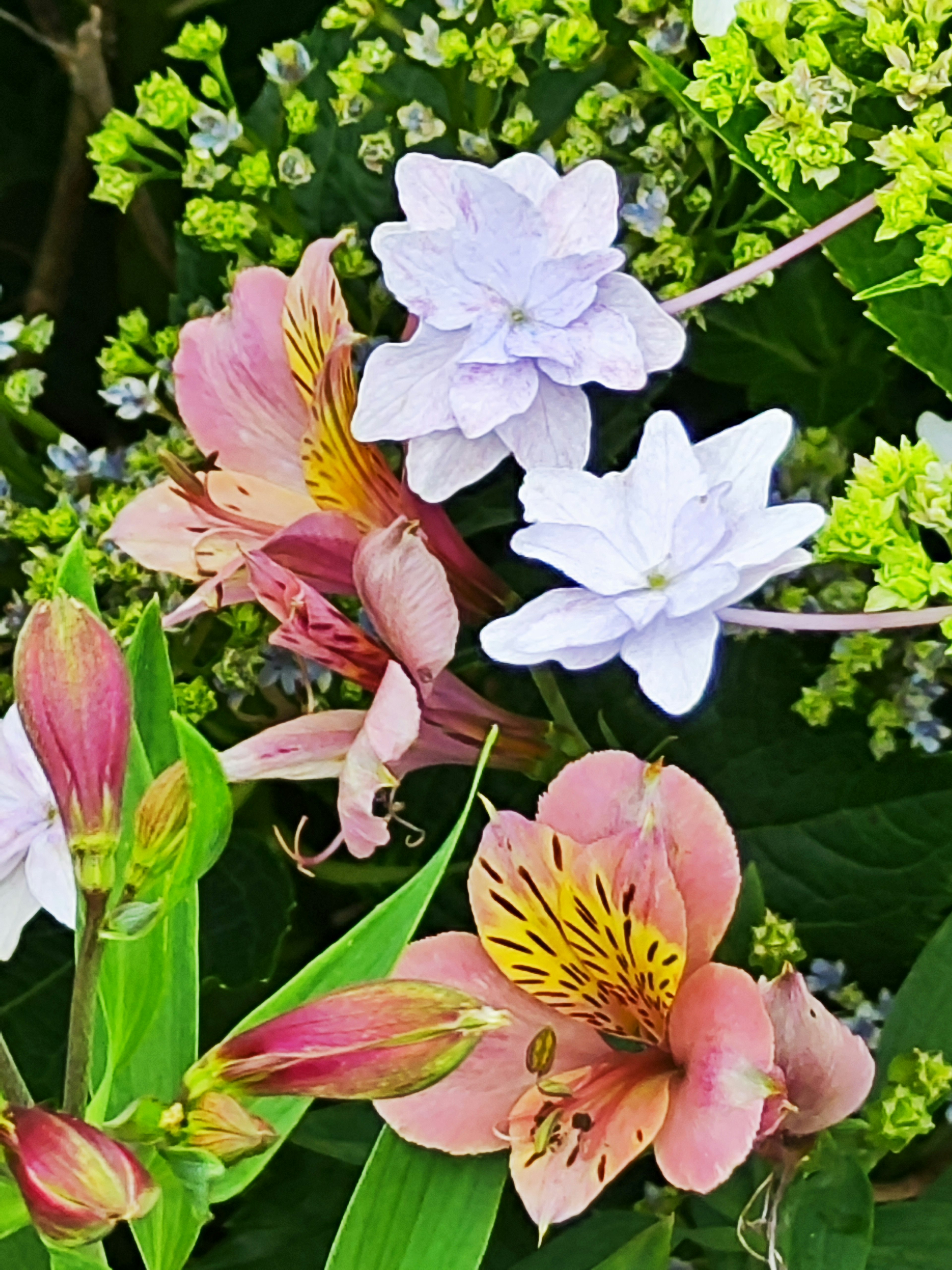 Un'esibizione vibrante di fiori colorati in un giardino