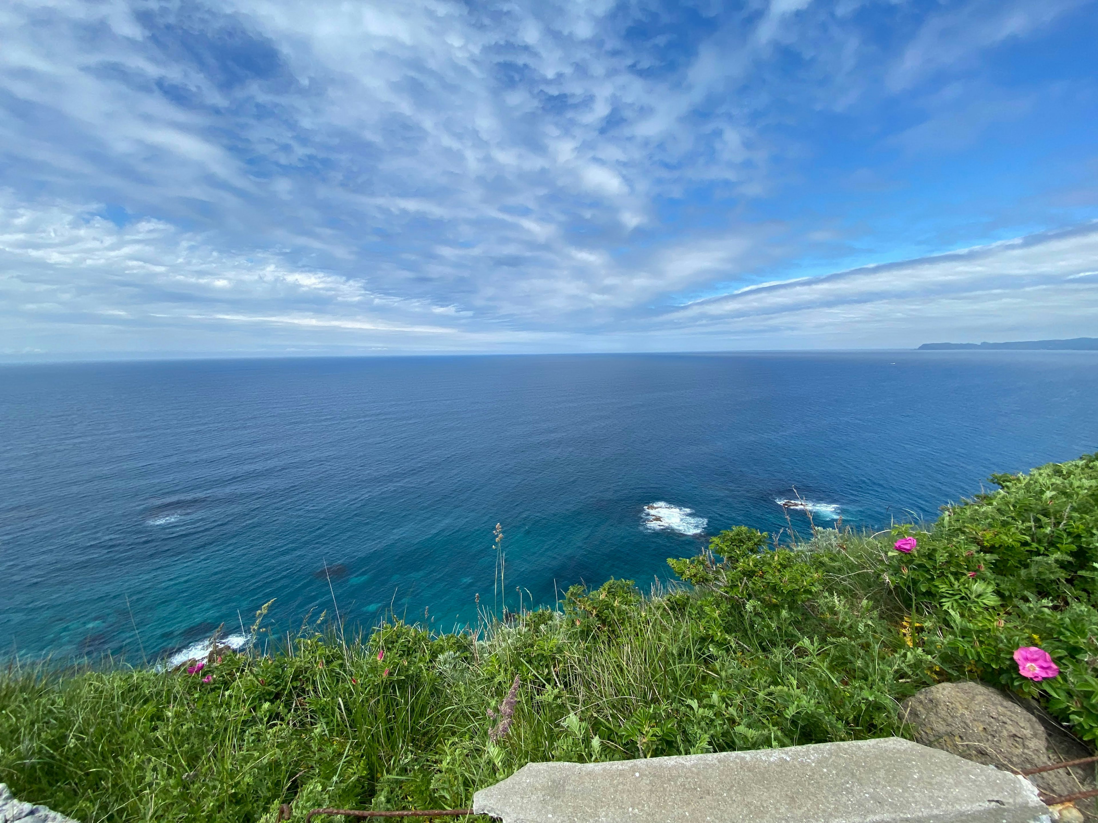 Pemandangan laut biru dan langit dengan rumput hijau dan bunga di latar depan