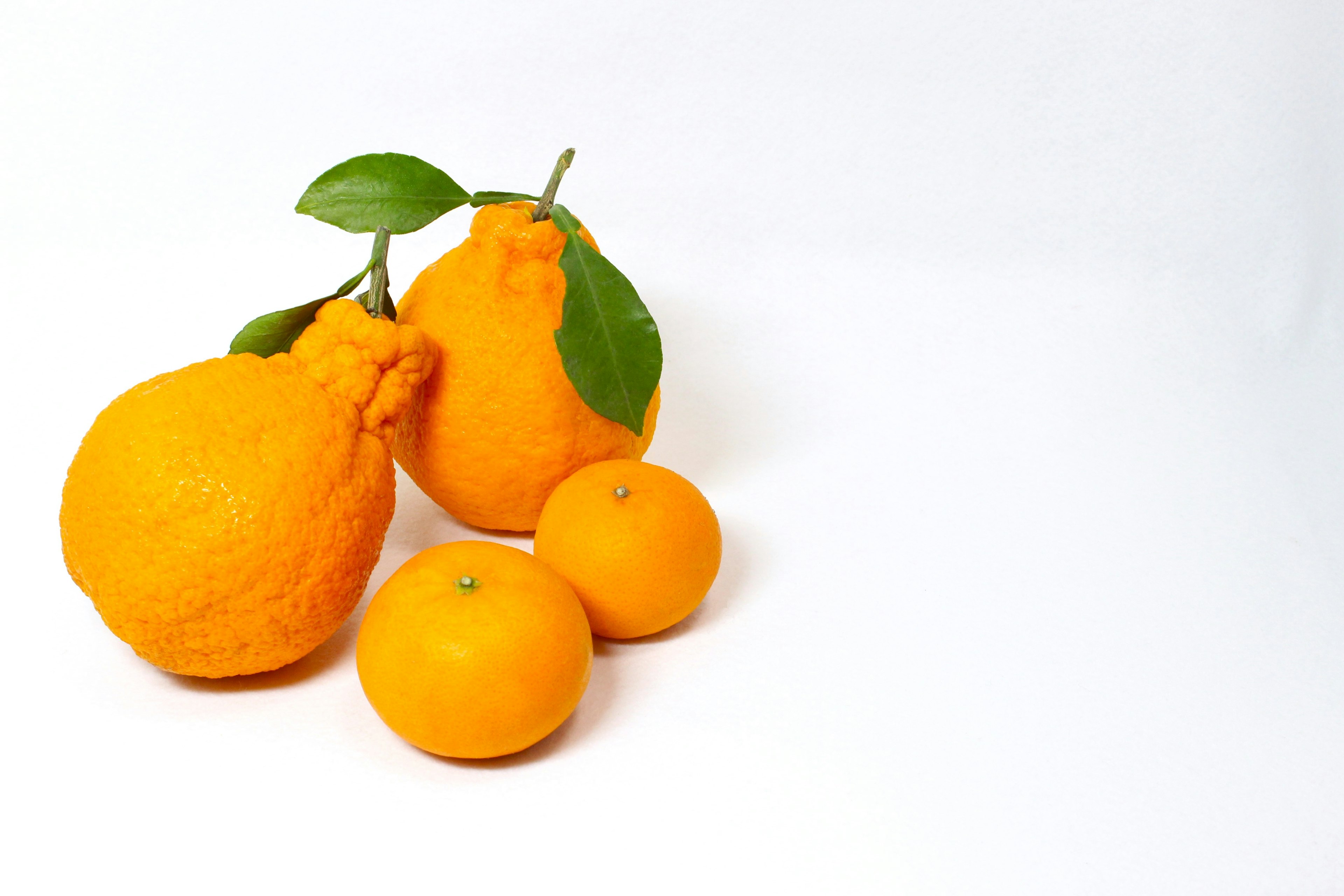 Group of oranges with green leaves