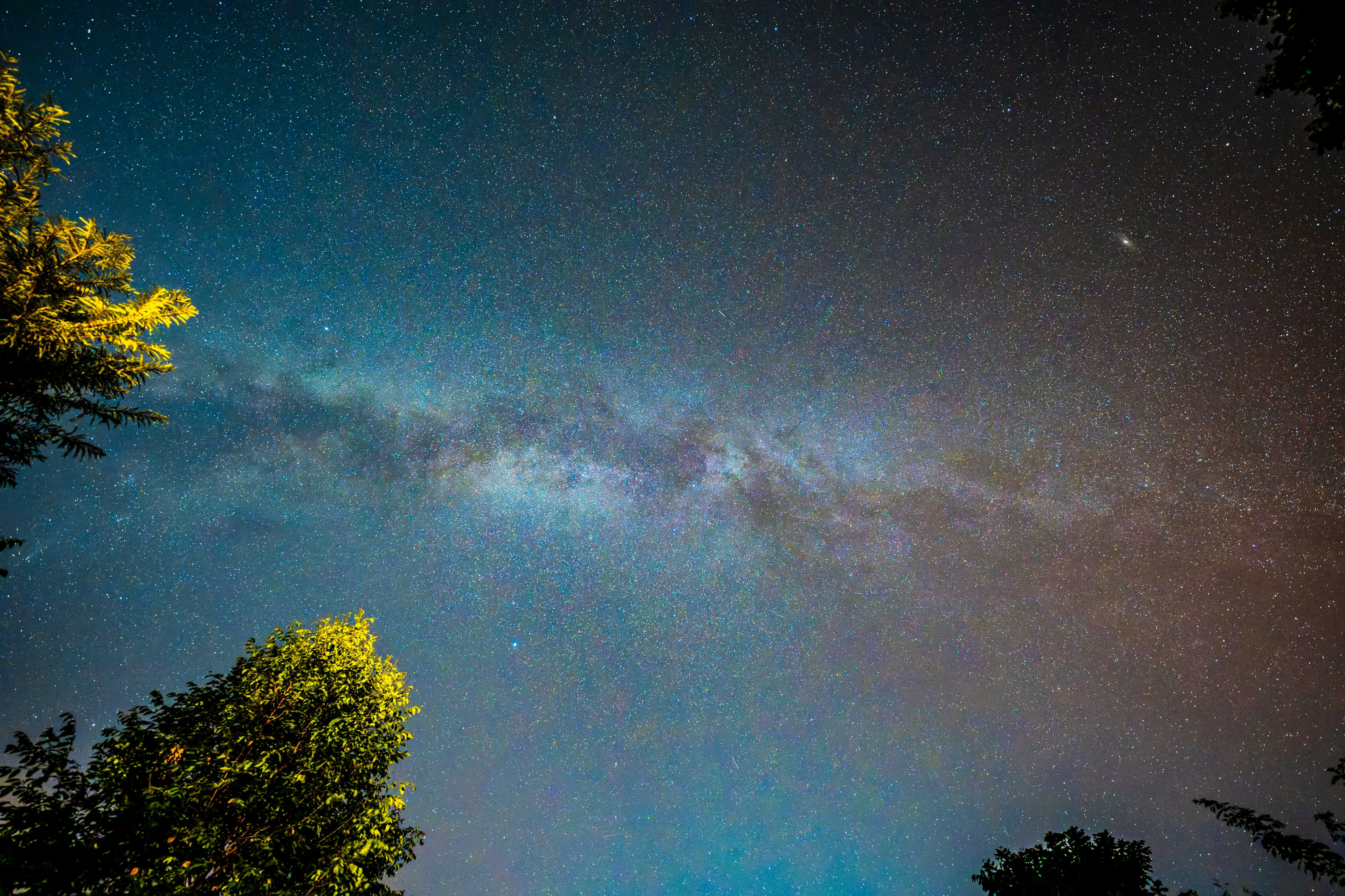 星空に広がる銀河の帯と木々のシルエット