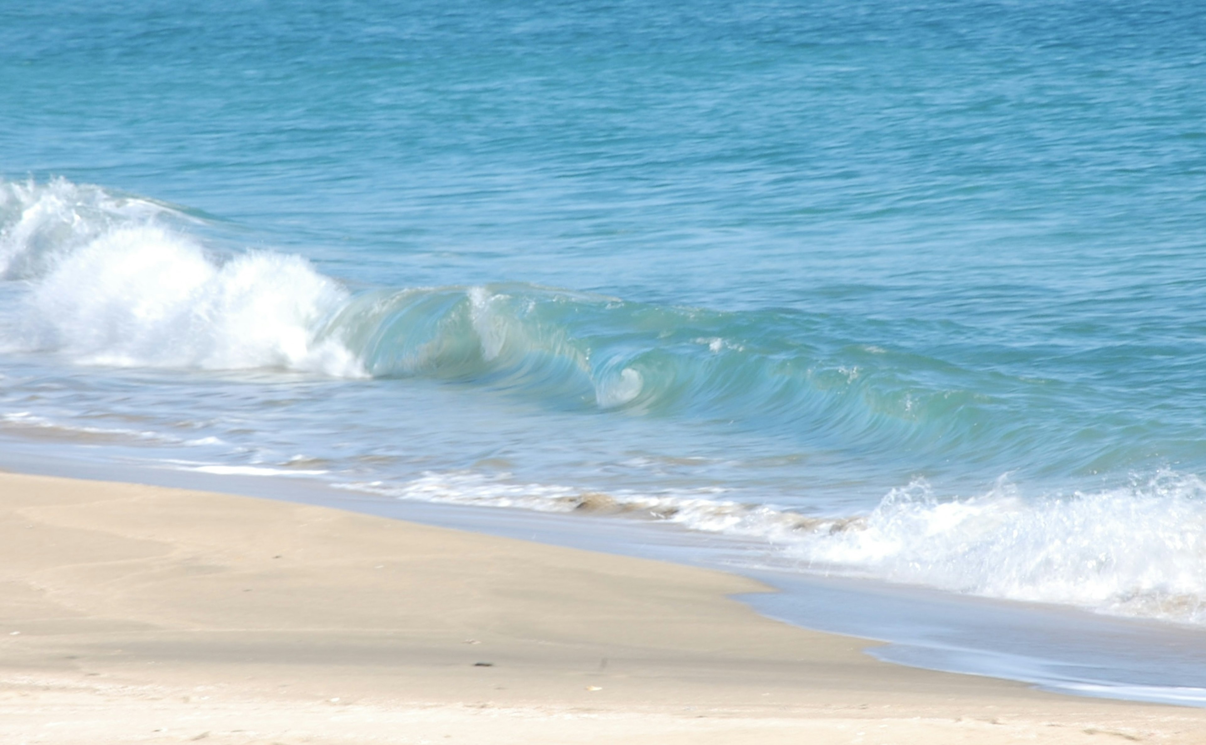 A serene beach scene with blue ocean waves and sandy shore