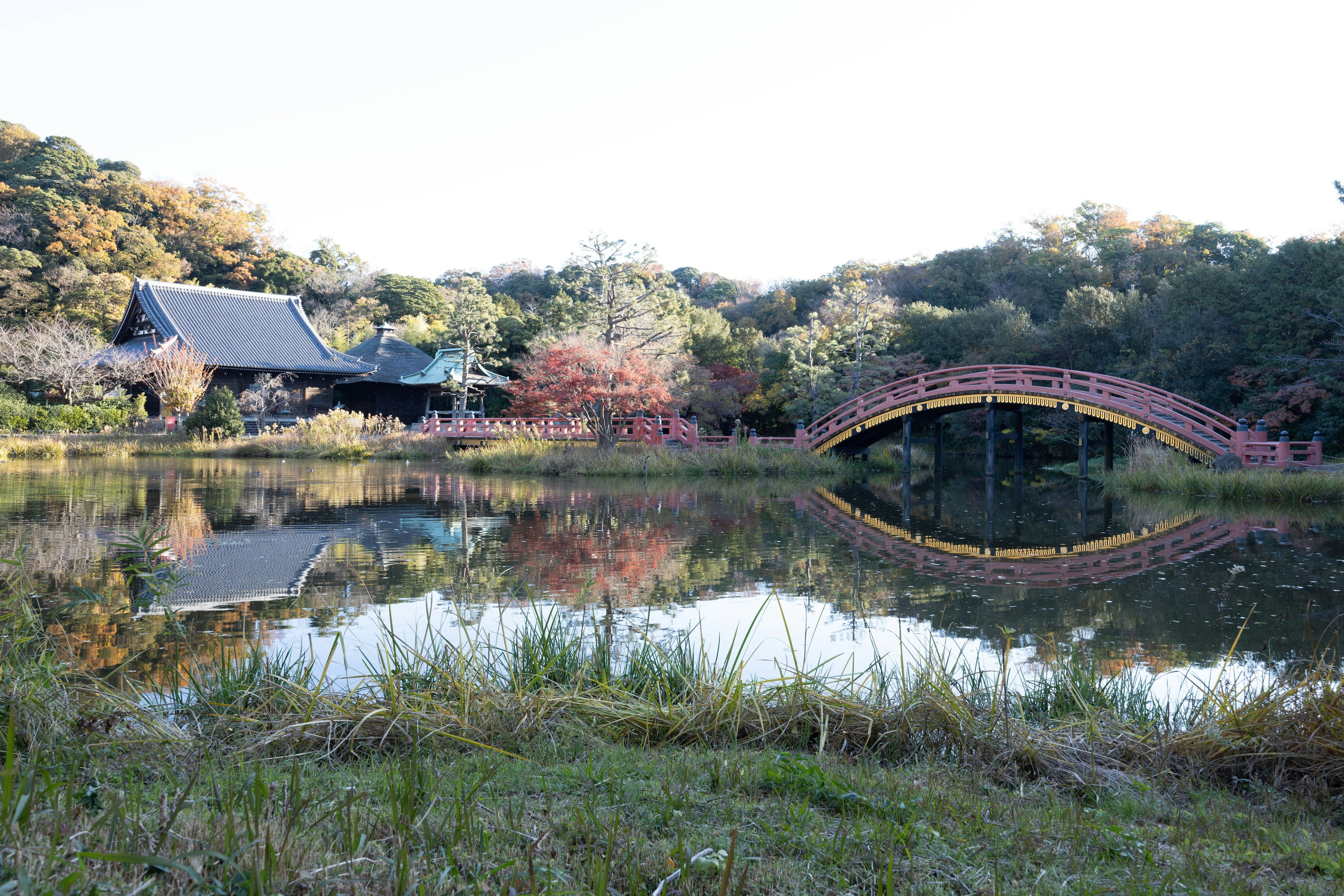 Paysage de jardin japonais avec un étang et un pont rouge