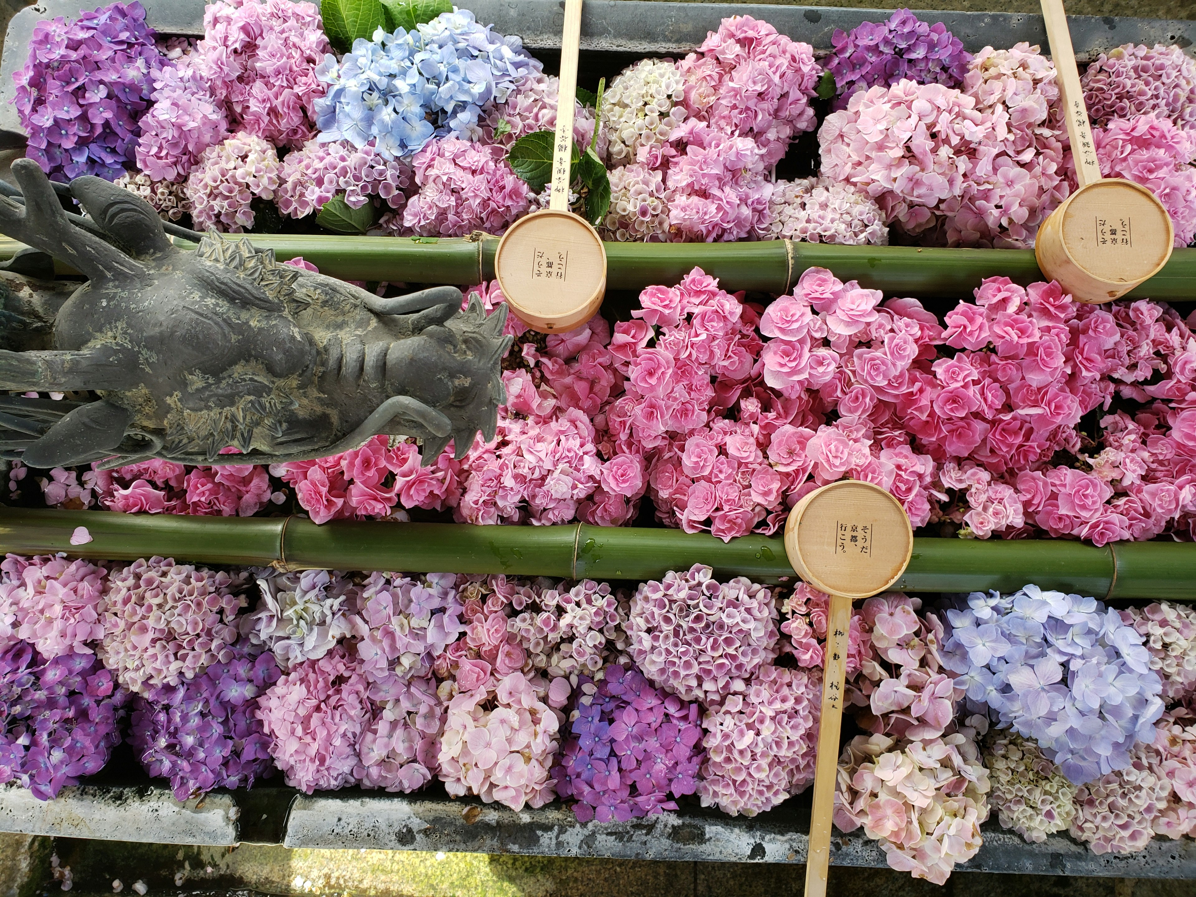 Arrangement coloré de fleurs avec des séparateurs en bambou