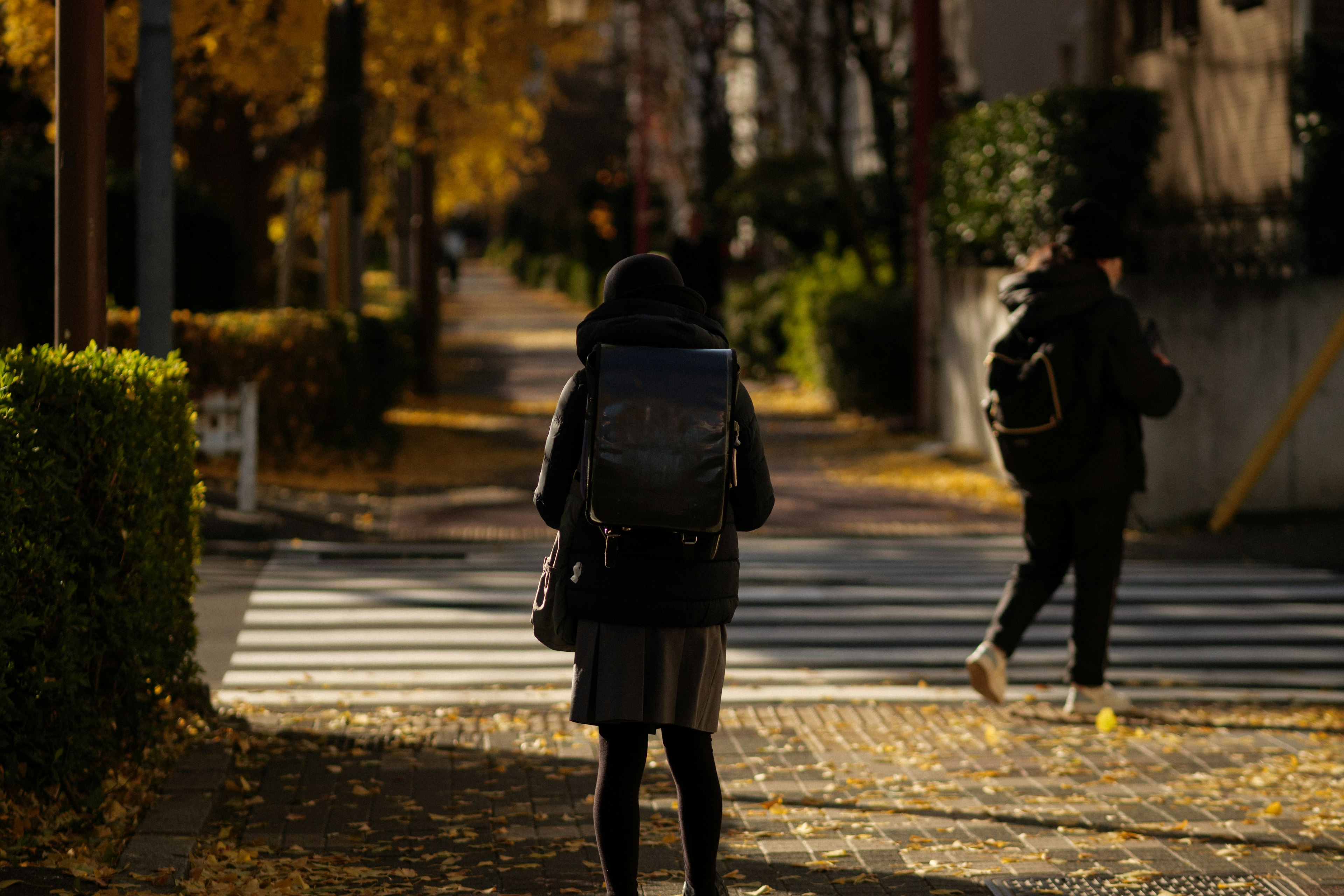 秋の街並みを歩く人々と落ち葉