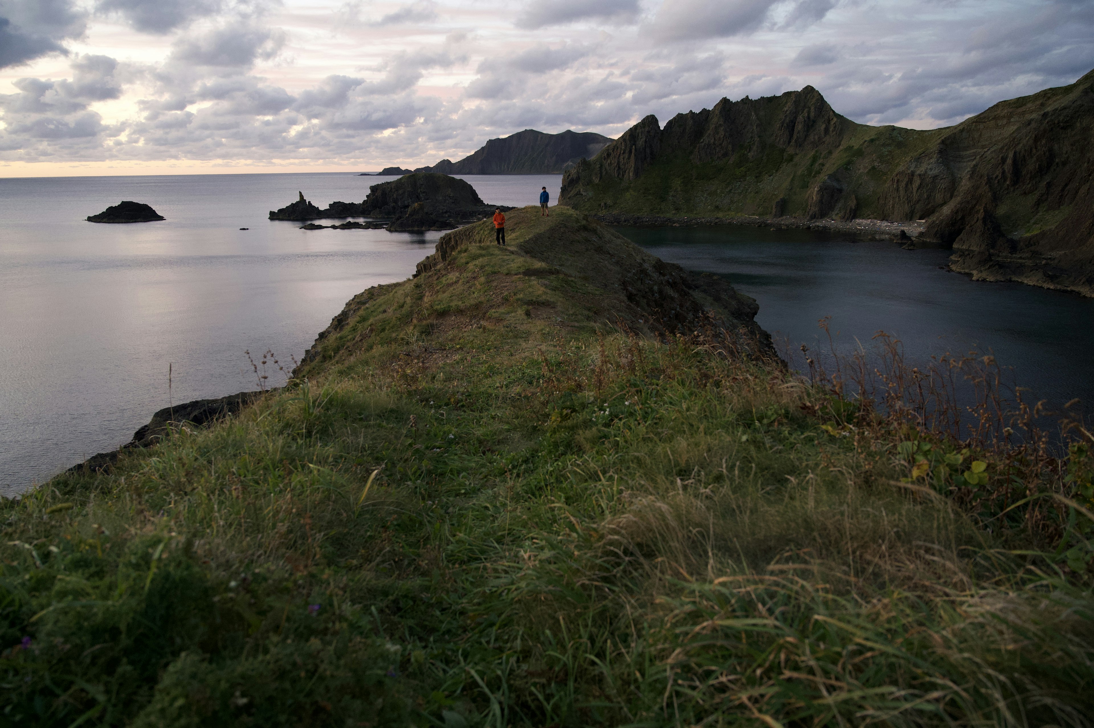 Pathway covered with grass along a coastal cliff with calm sea