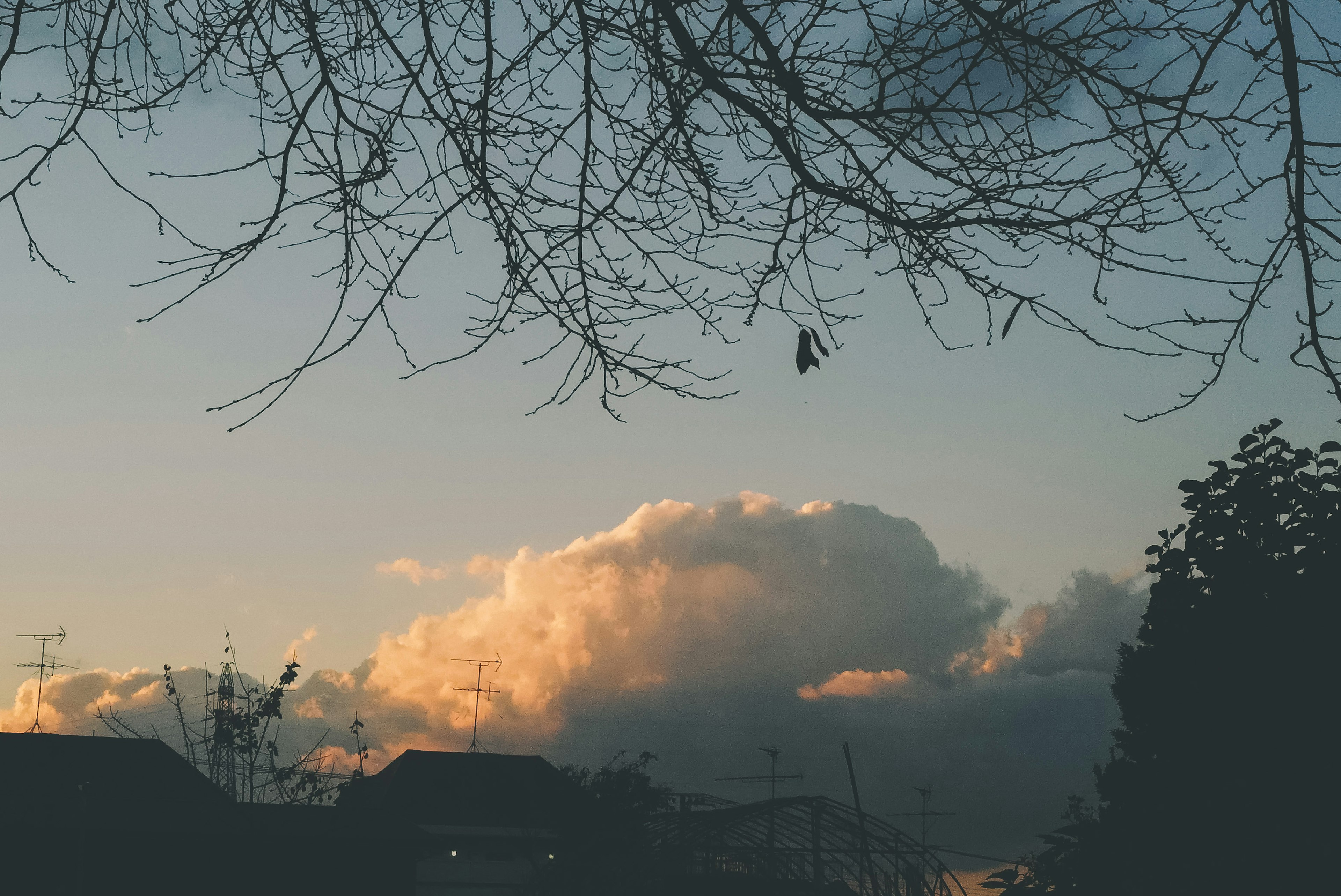 夕陽下照亮的雲彩與剪影樹枝