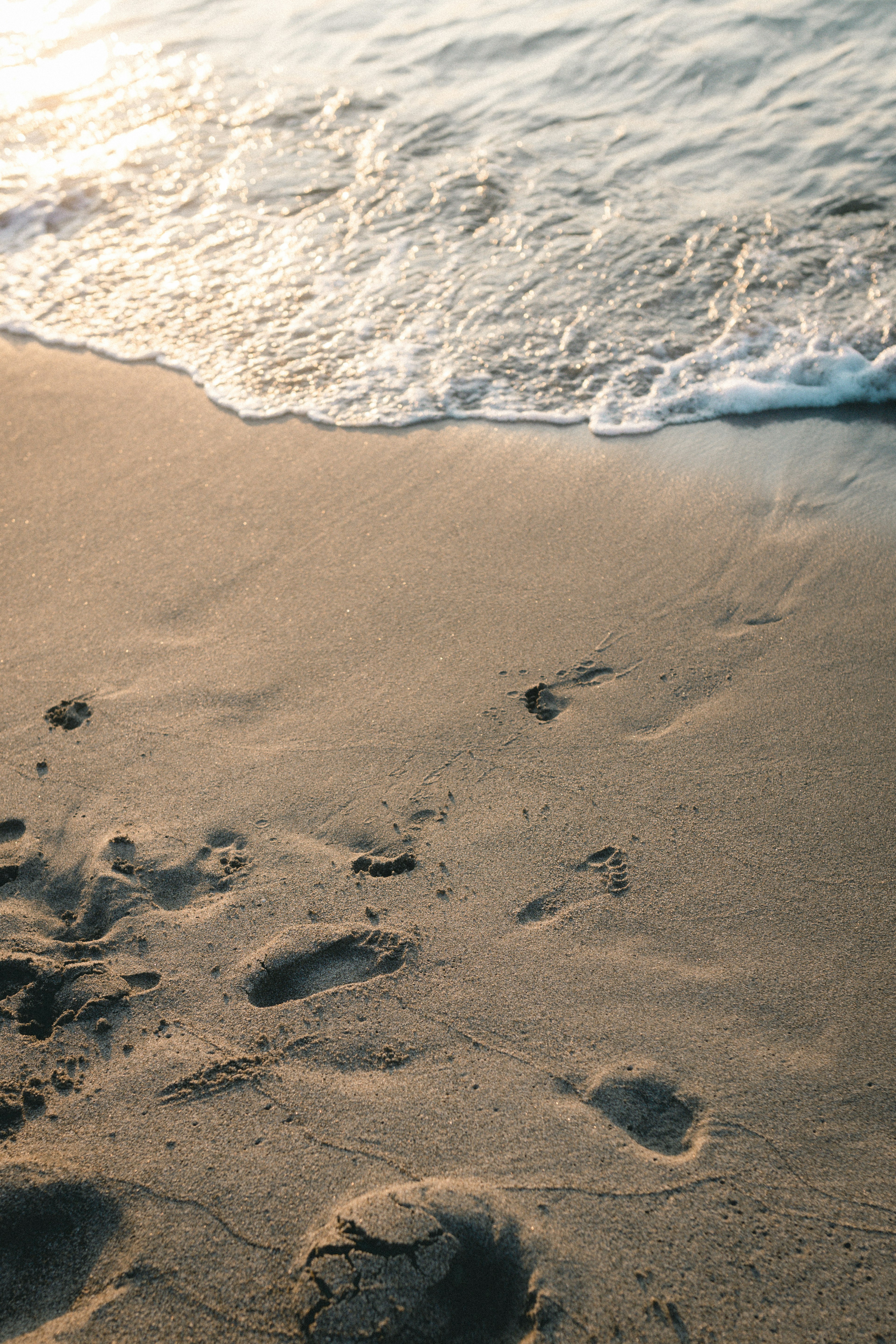 Huellas en una playa de arena cerca de la orilla