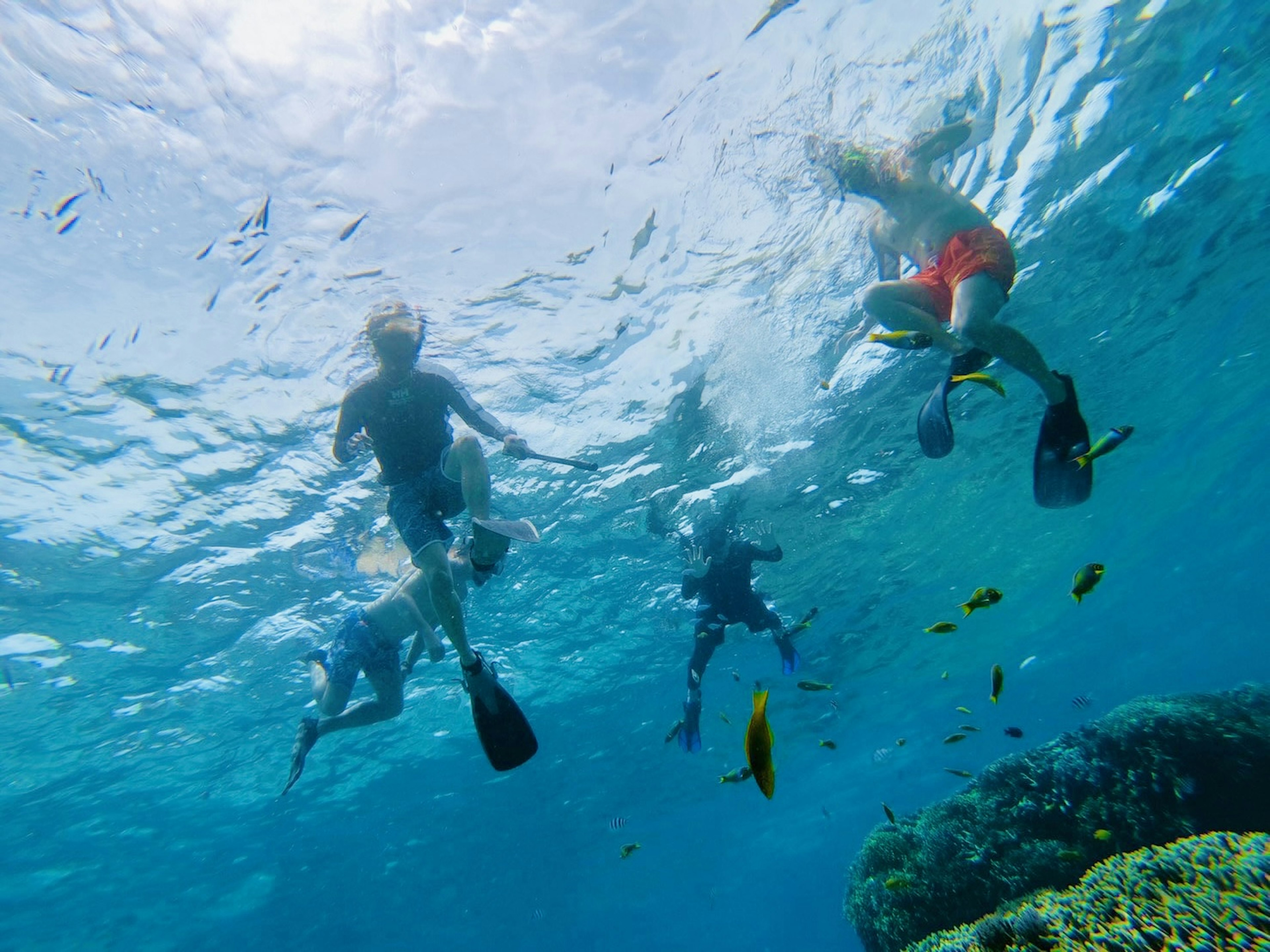 Groupe de personnes faisant de la plongée en apnée sous l'eau océan bleu avec des reflets de lumière