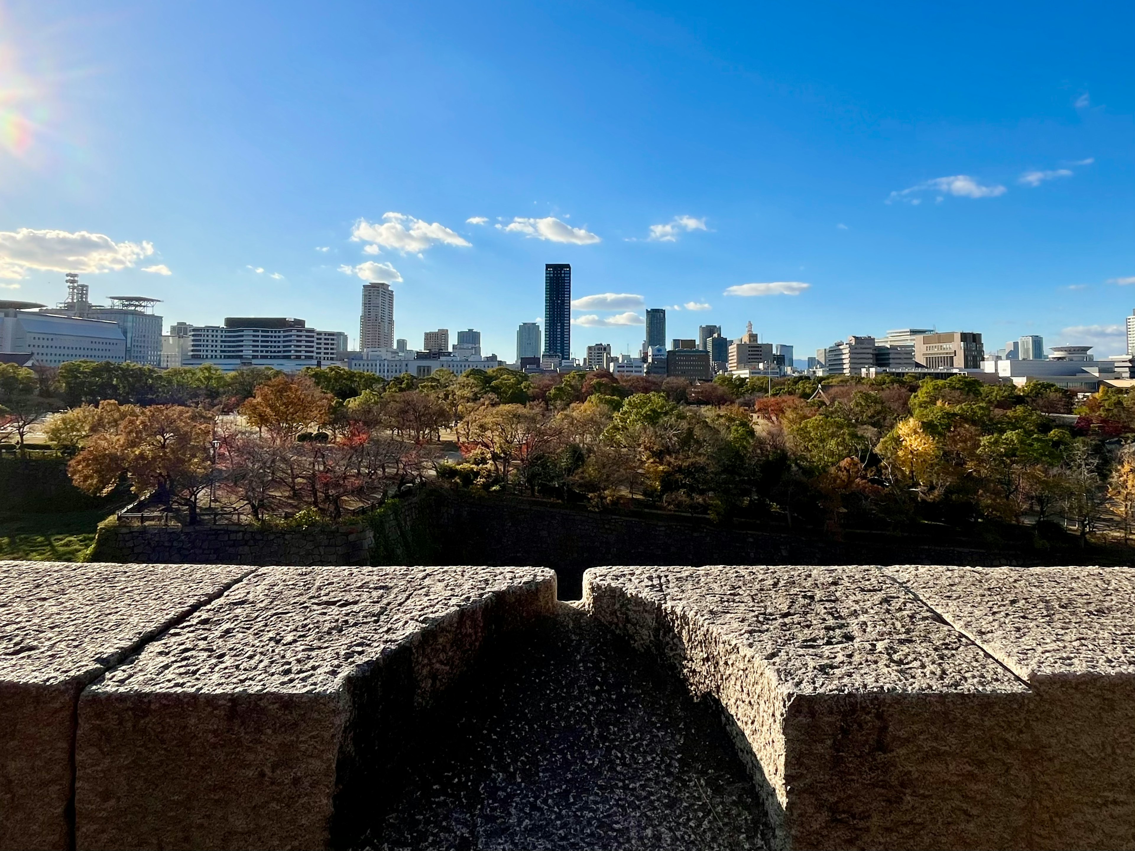 大阪市天际线的美丽景色与前景公园