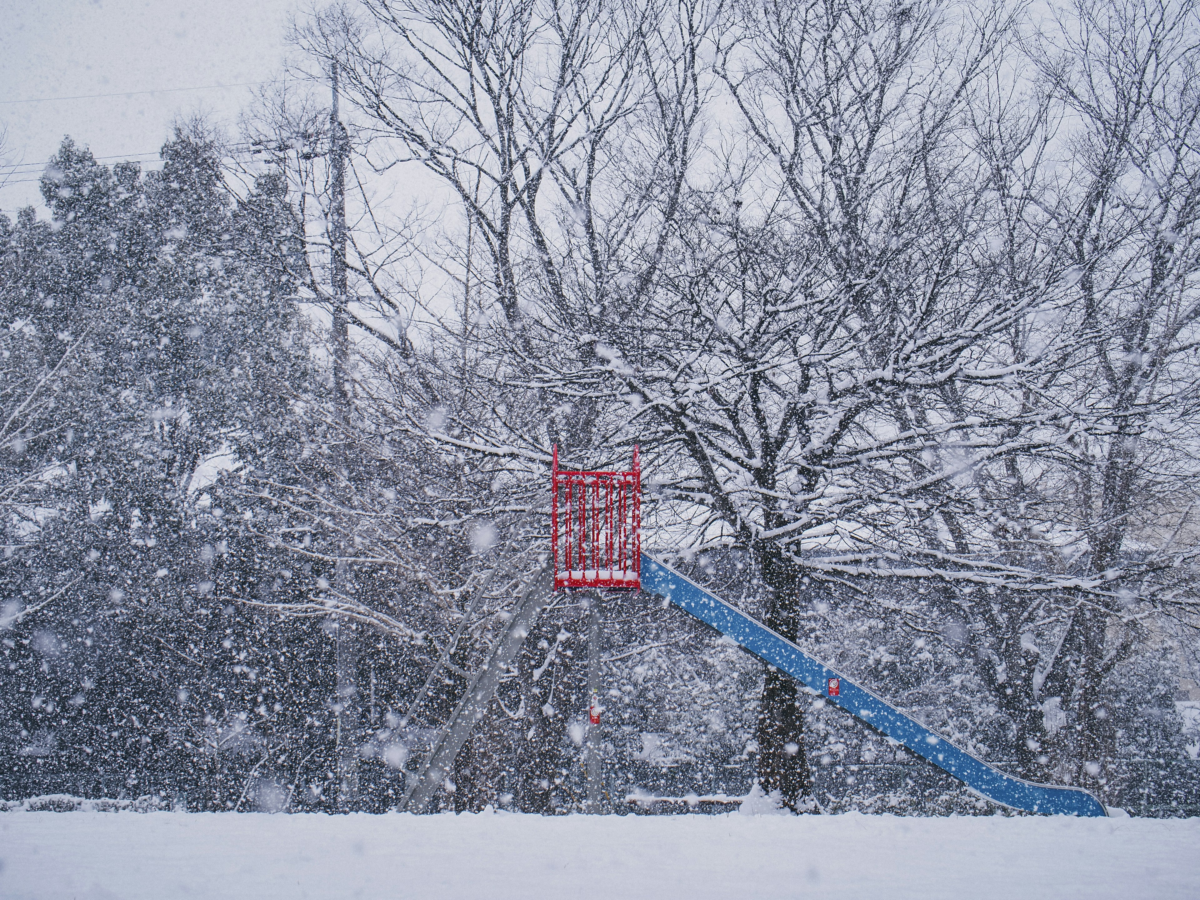 Toboggan et arbres dans un parc enneigé