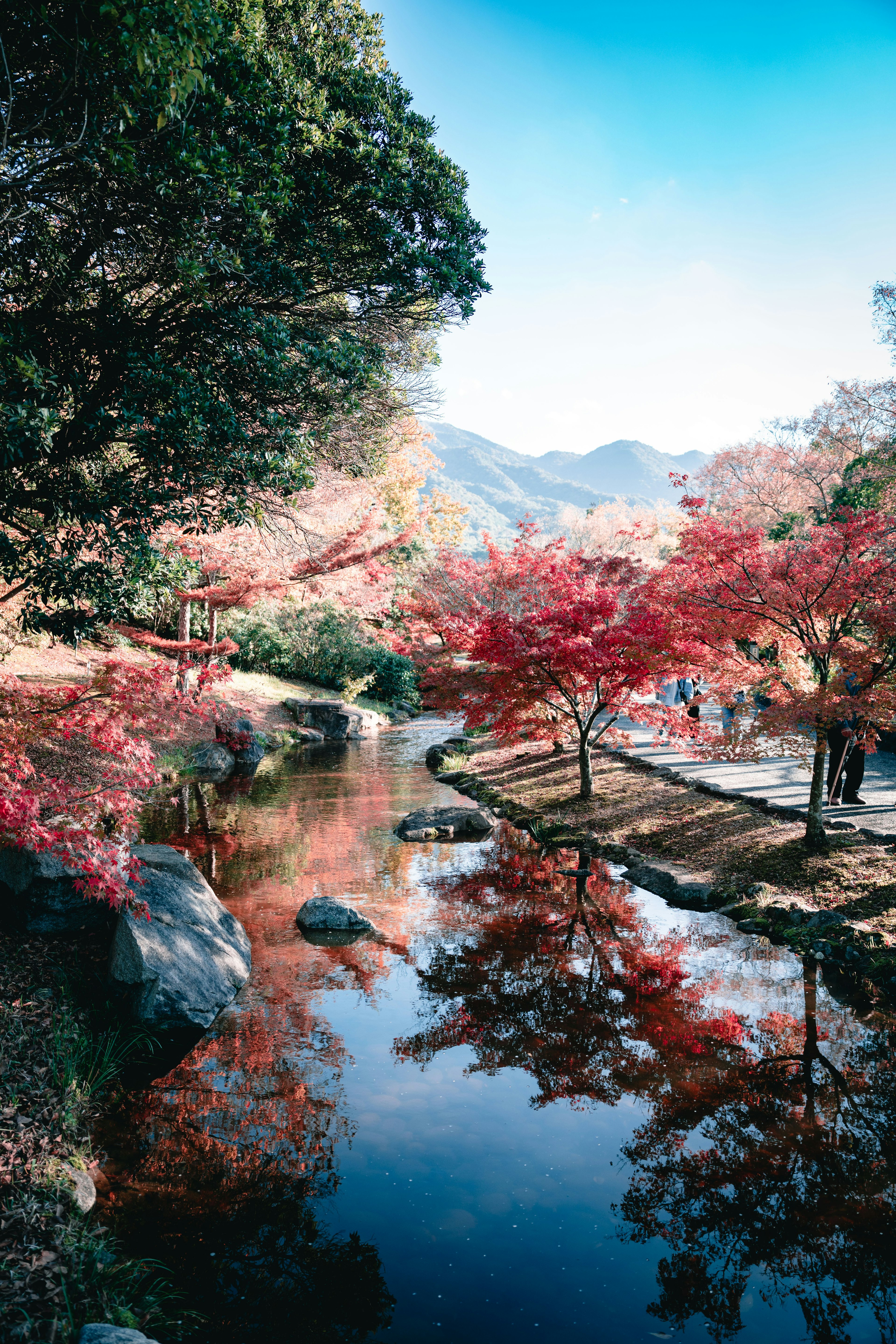 穏やかな川の景色に映る紅葉した木々と青空