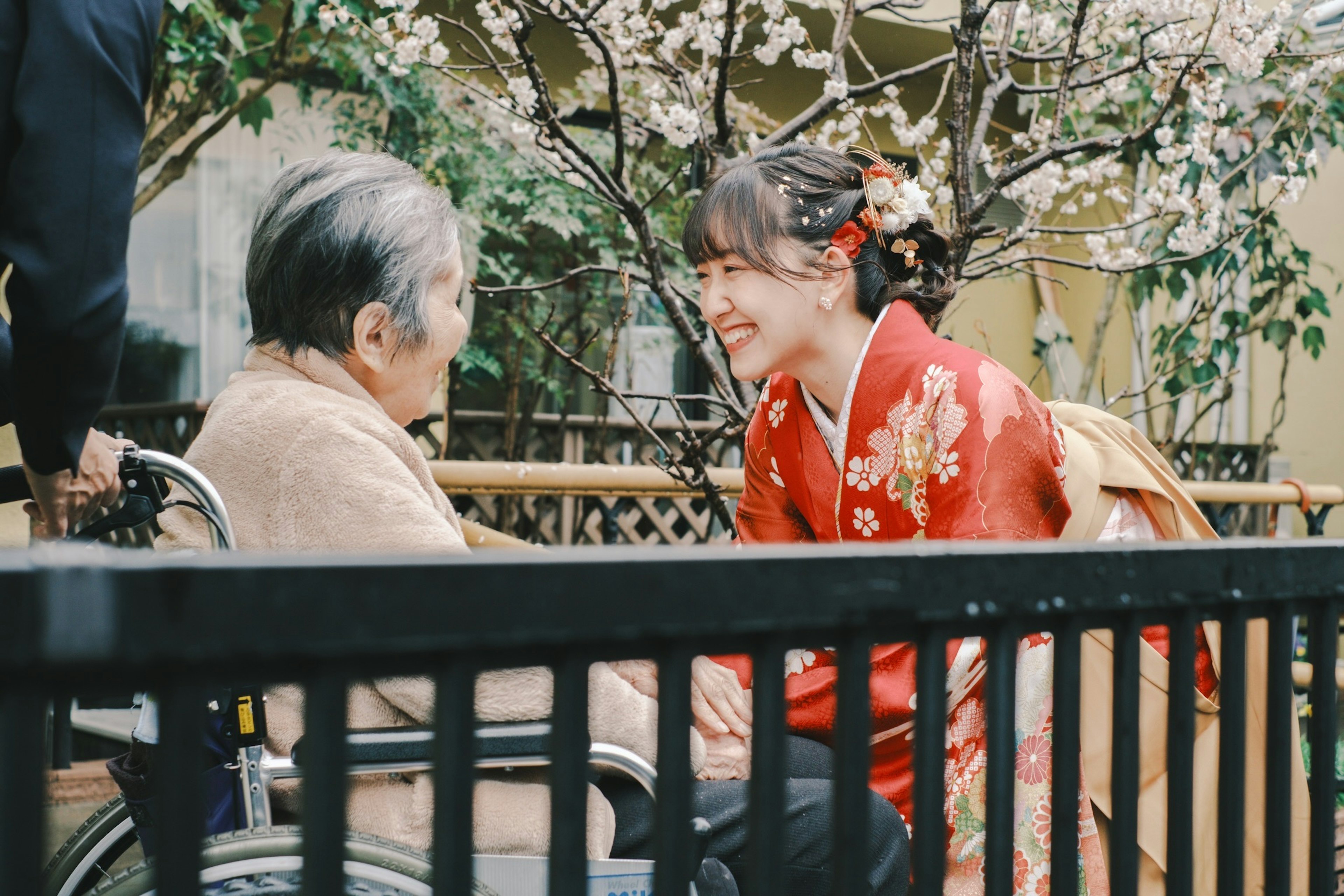 Una mujer en kimono sonriendo y hablando con una persona mayor en silla de ruedas bajo un árbol de cerezo en flor