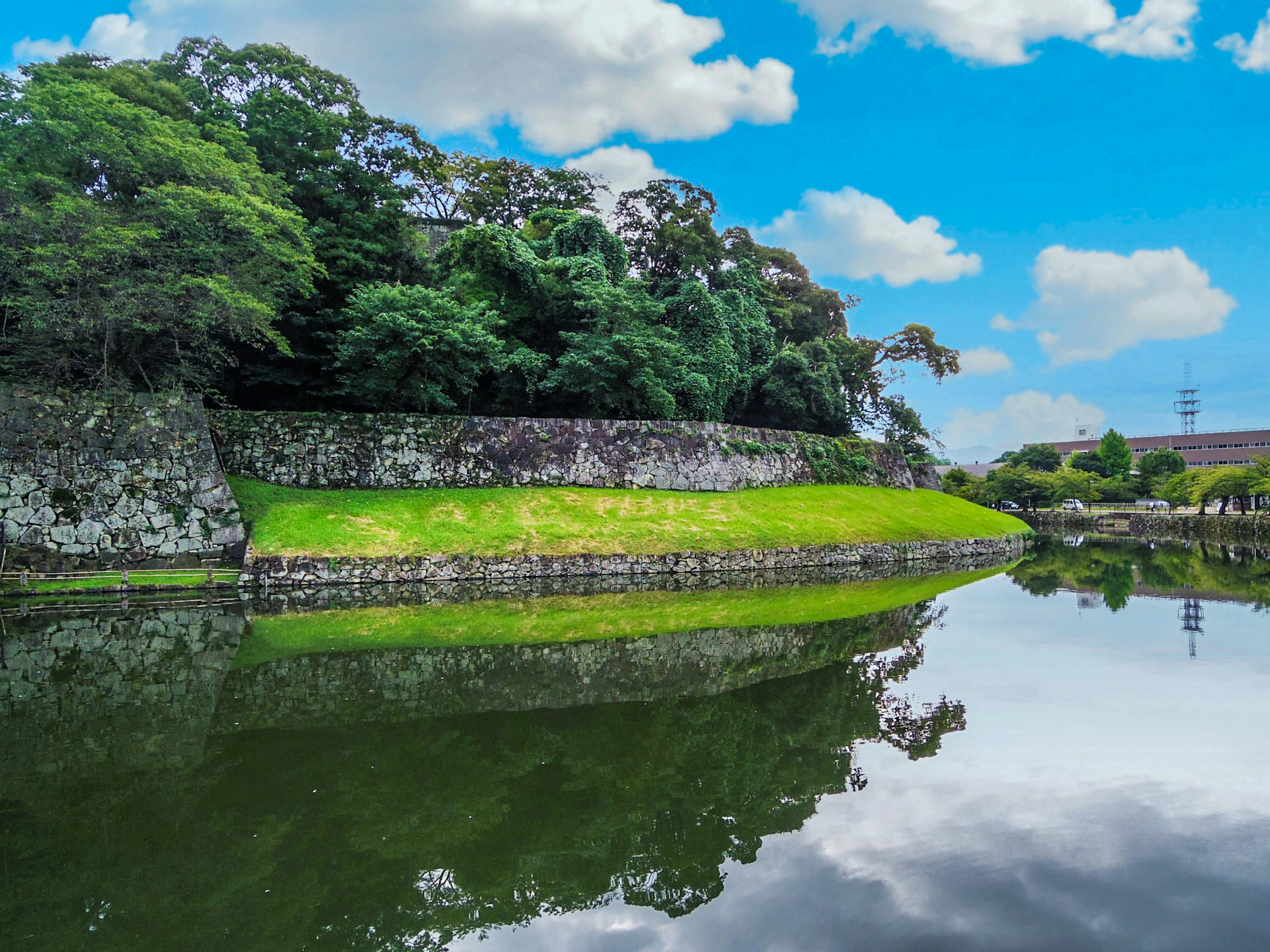 Vista escénica de una orilla verde bajo un cielo azul con nubes esponjosas