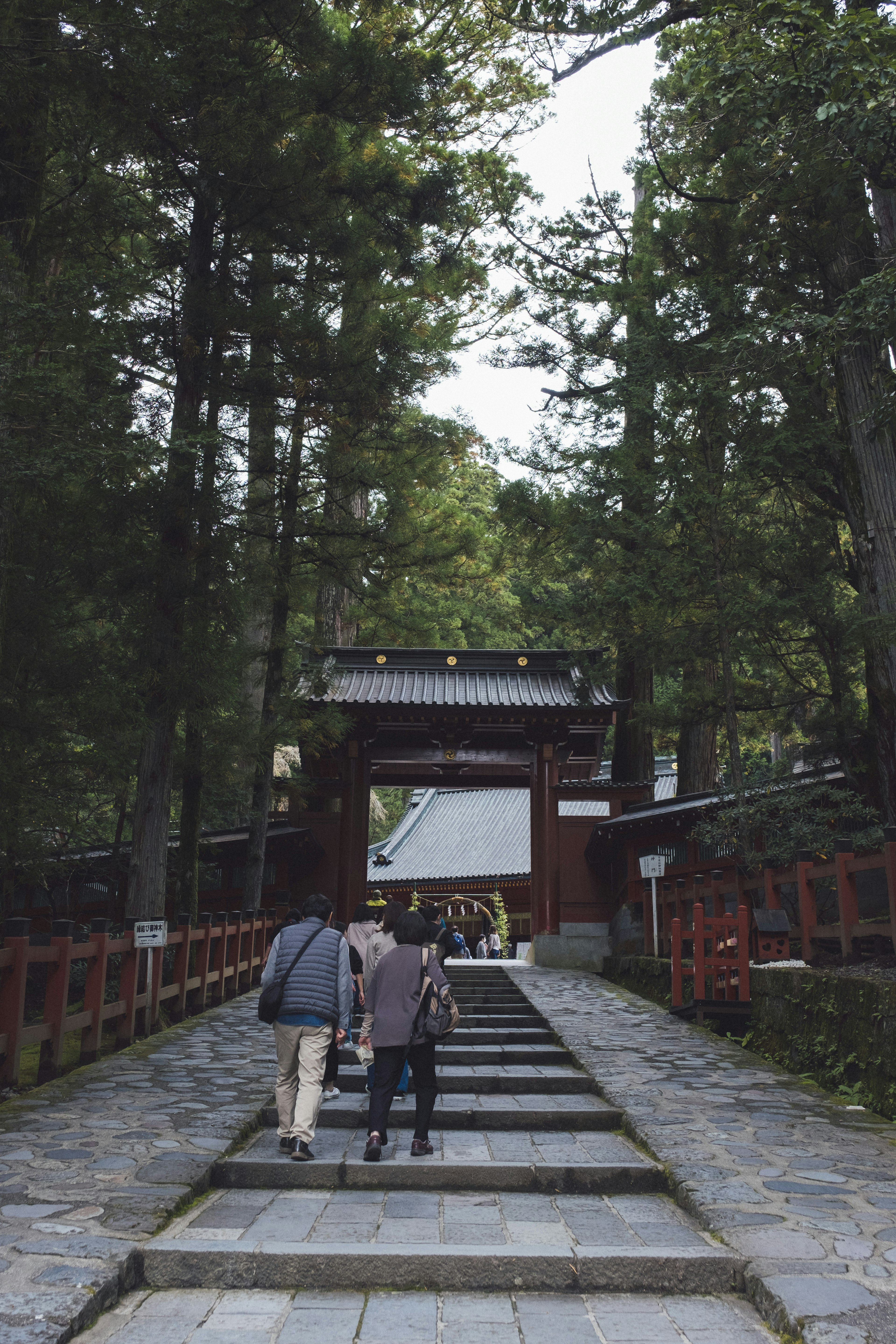 緑豊かな森の中の神社の入り口に向かう人々