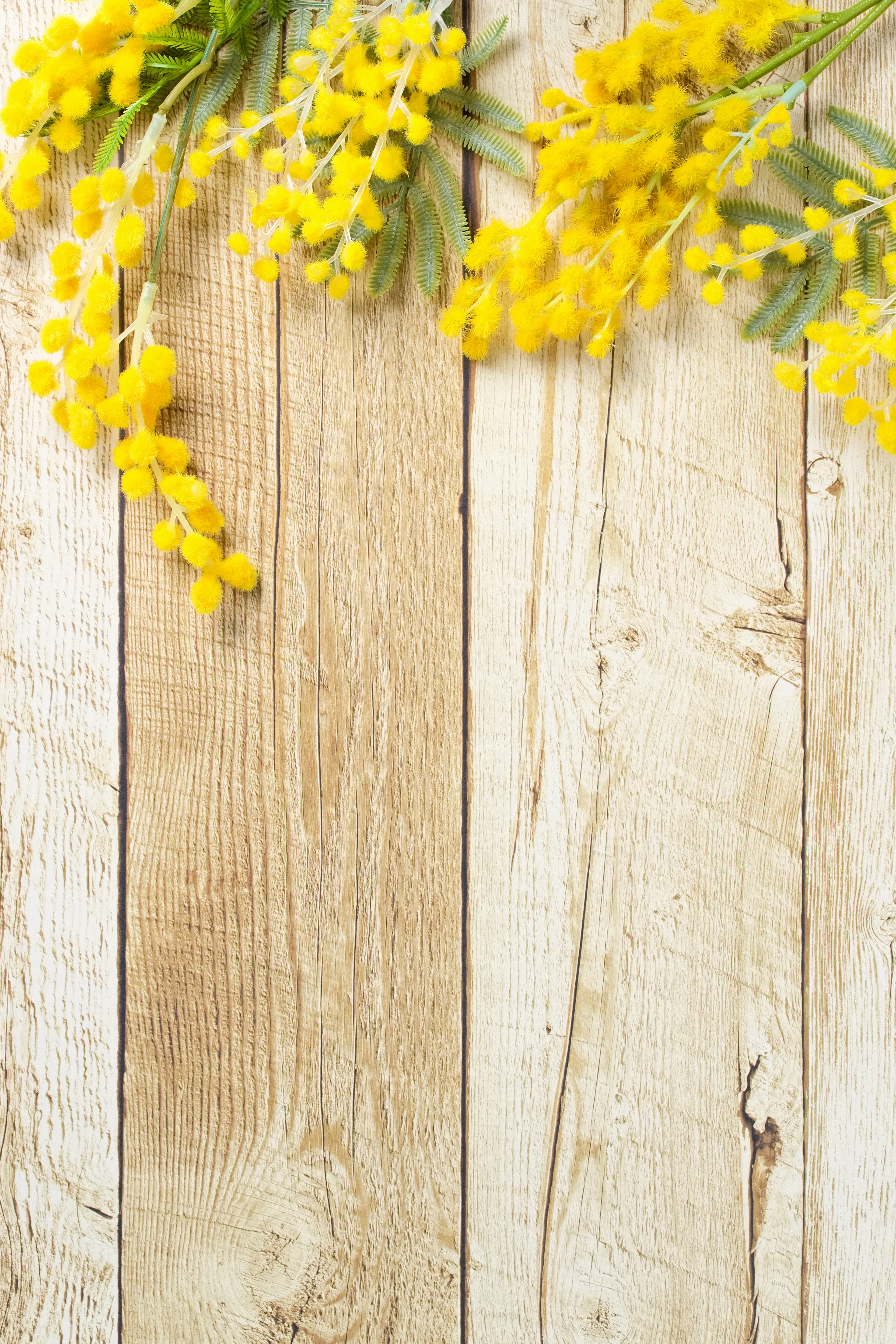 Gelbe Mimosenblüten auf einem Holztisch angeordnet