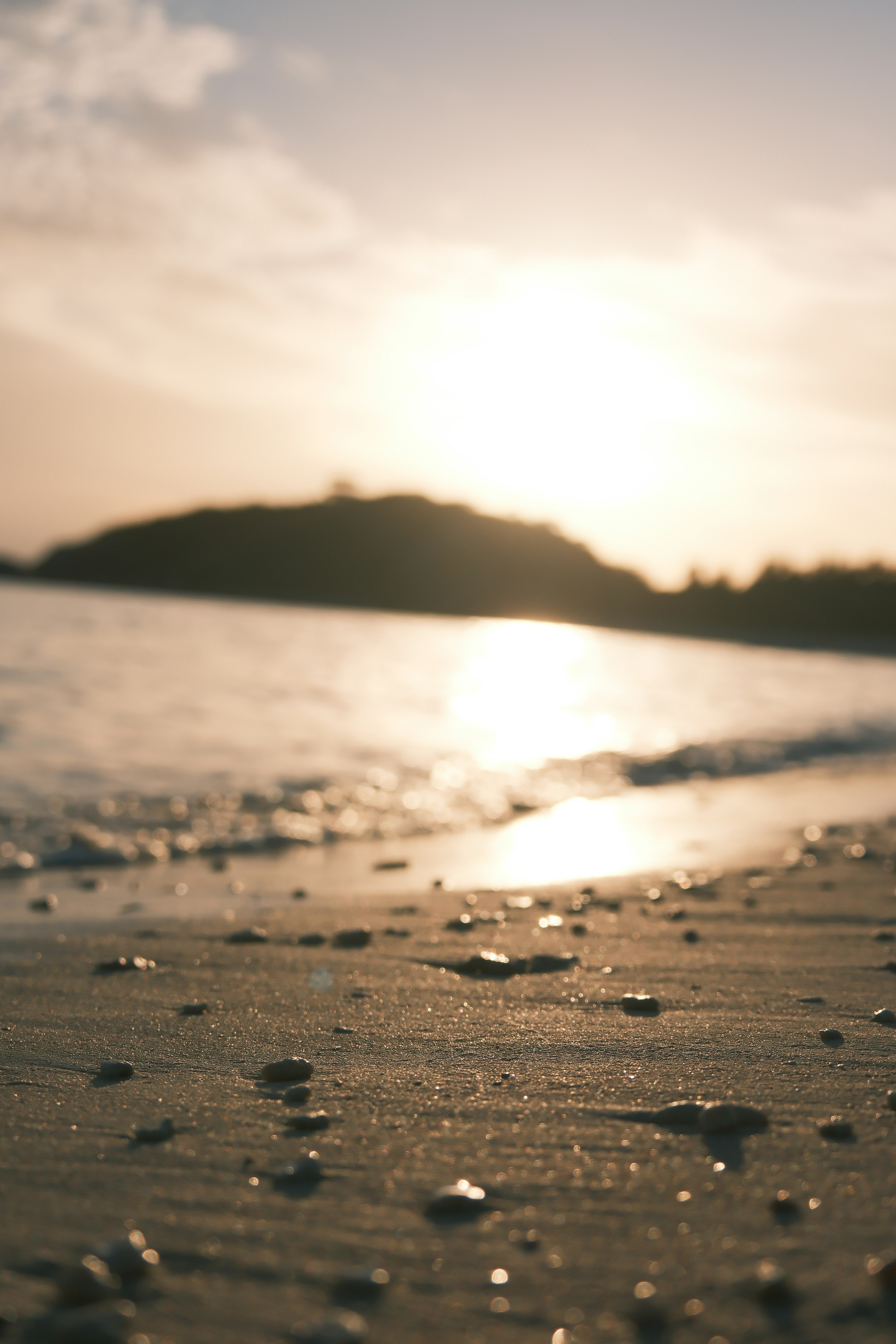 Gros plan de coquillages sur une plage au coucher du soleil avec une île au loin