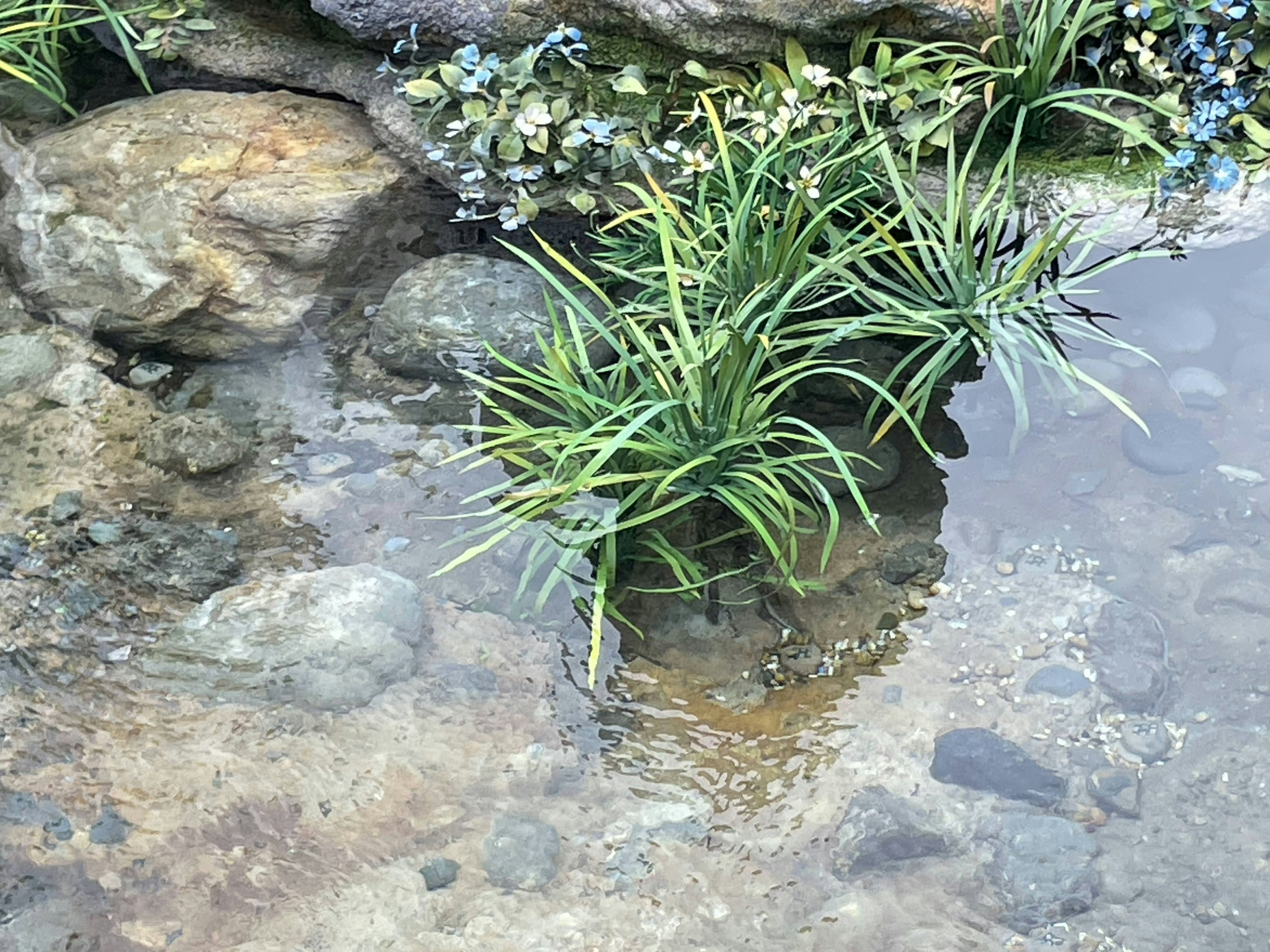 Pemandangan air yang tenang dengan tanaman hijau dan batu halus