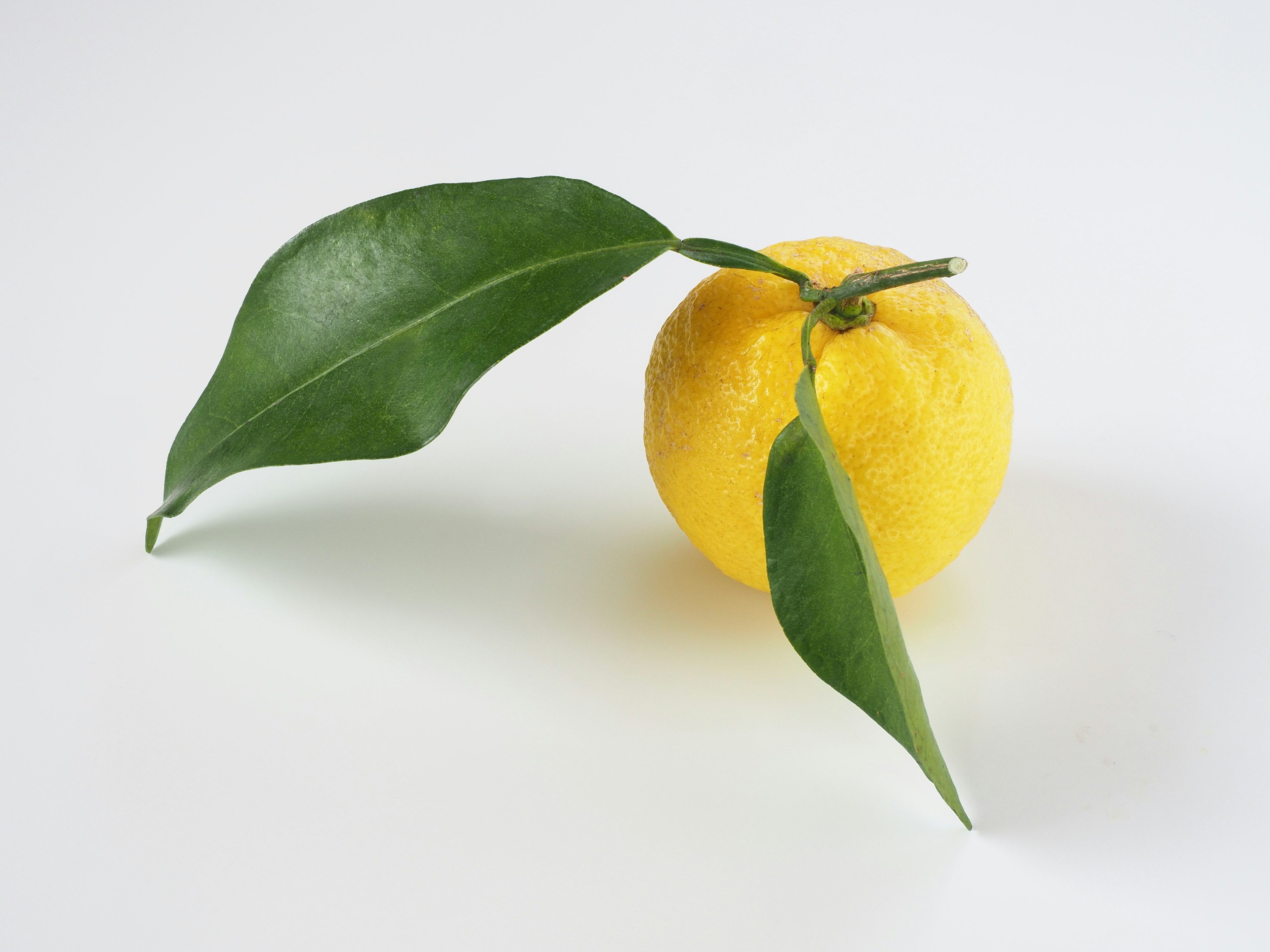 A simple image featuring a yellow citrus fruit with green leaves