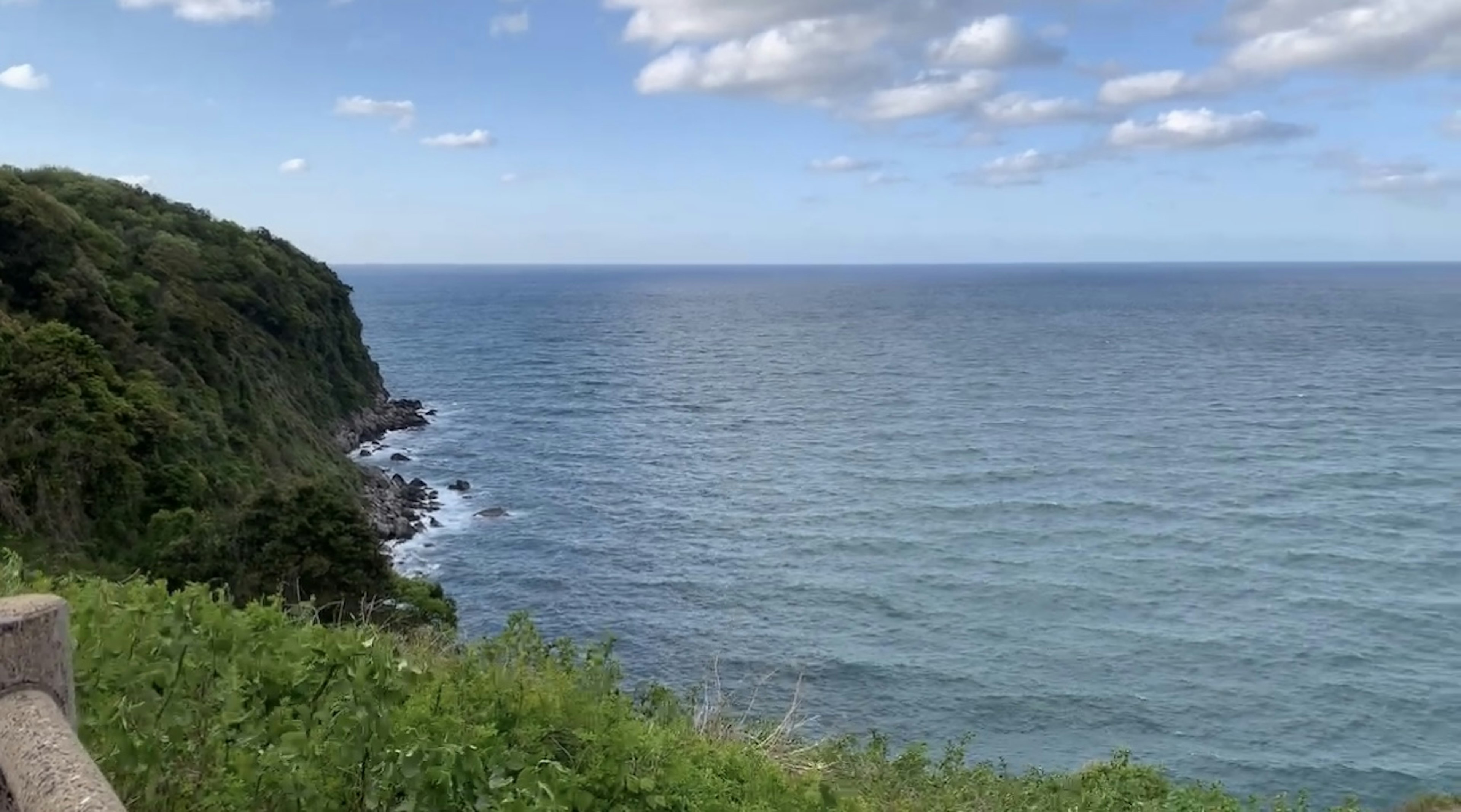 Panoramablick auf einen blauen Ozean und grüne Klippen mit üppigem Gras und klarem Himmel