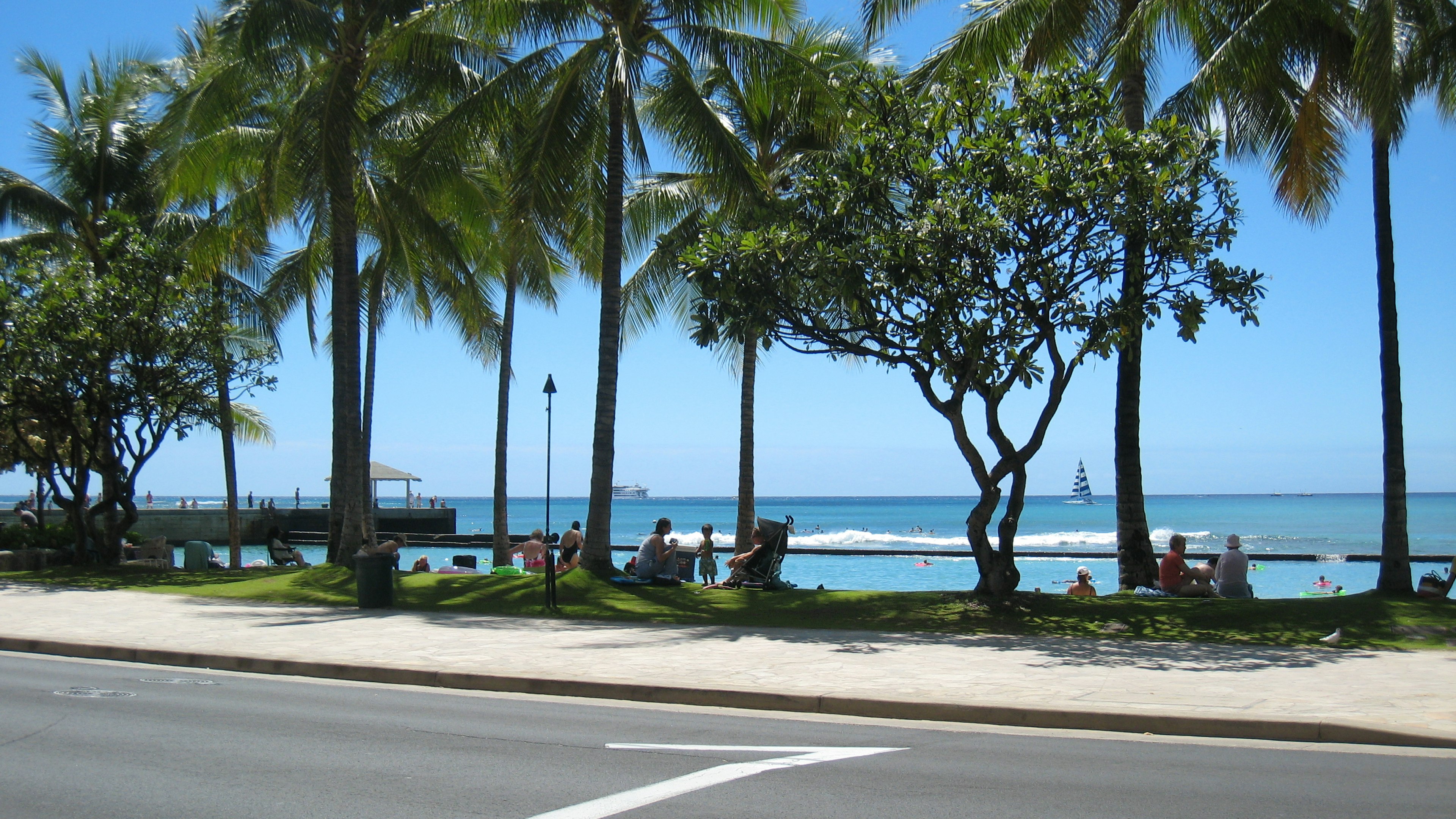 Hawaiian beach scene with blue ocean and palm trees sunbathers