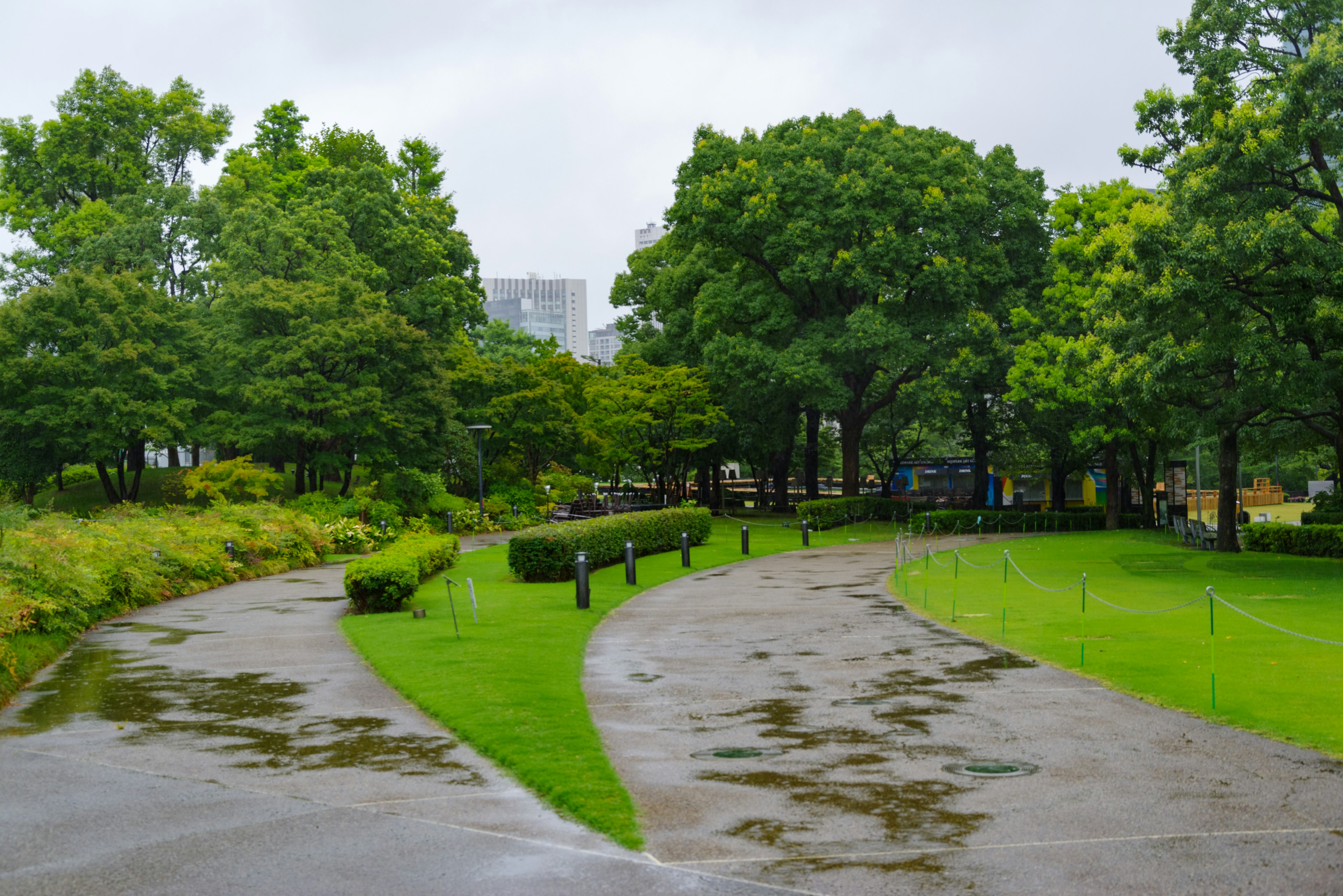 Rain-soaked park pathway with lush green trees