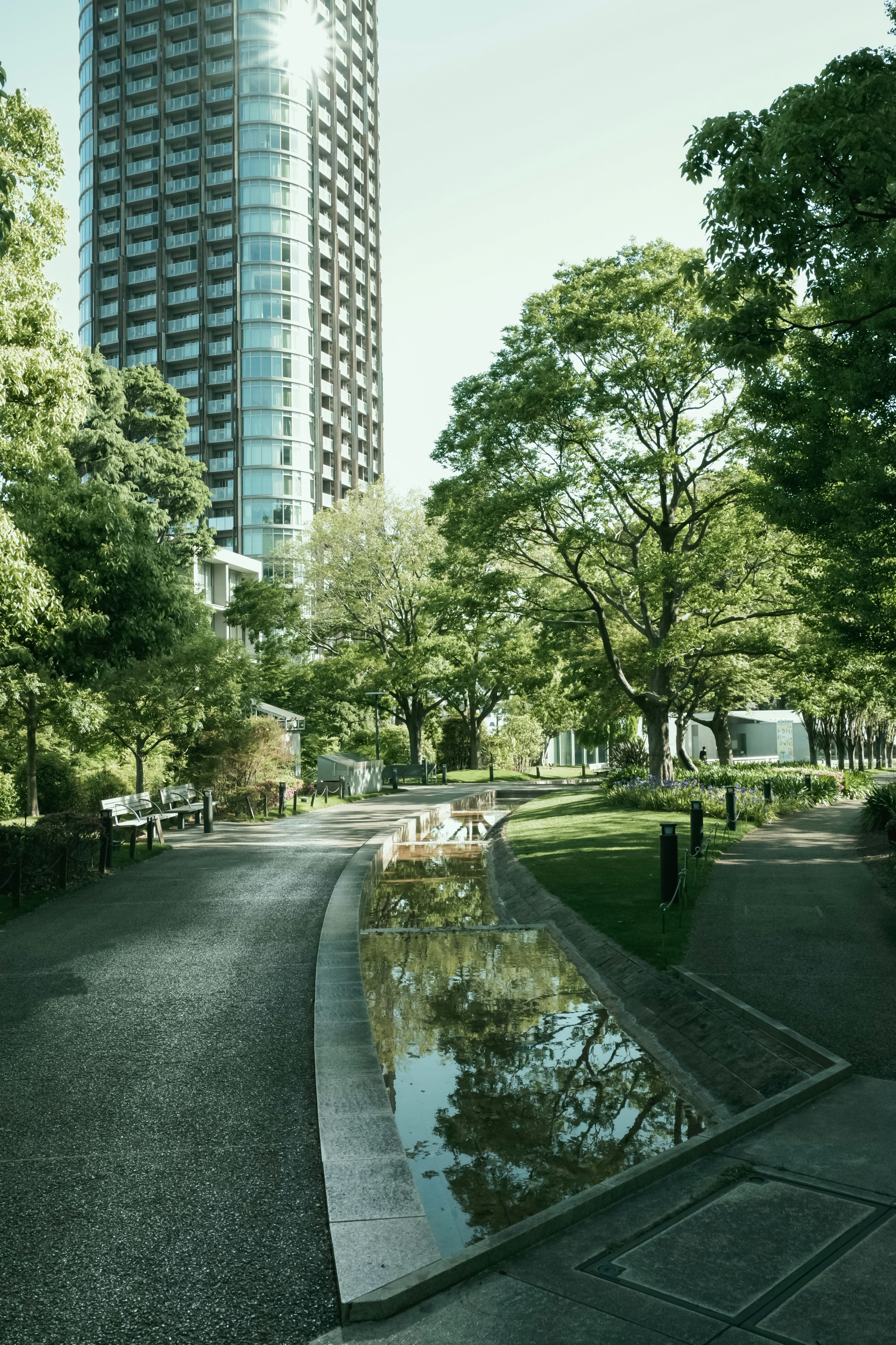 Pemandangan taman kota dengan gedung tinggi vegetasi subur dan permukaan air reflektif