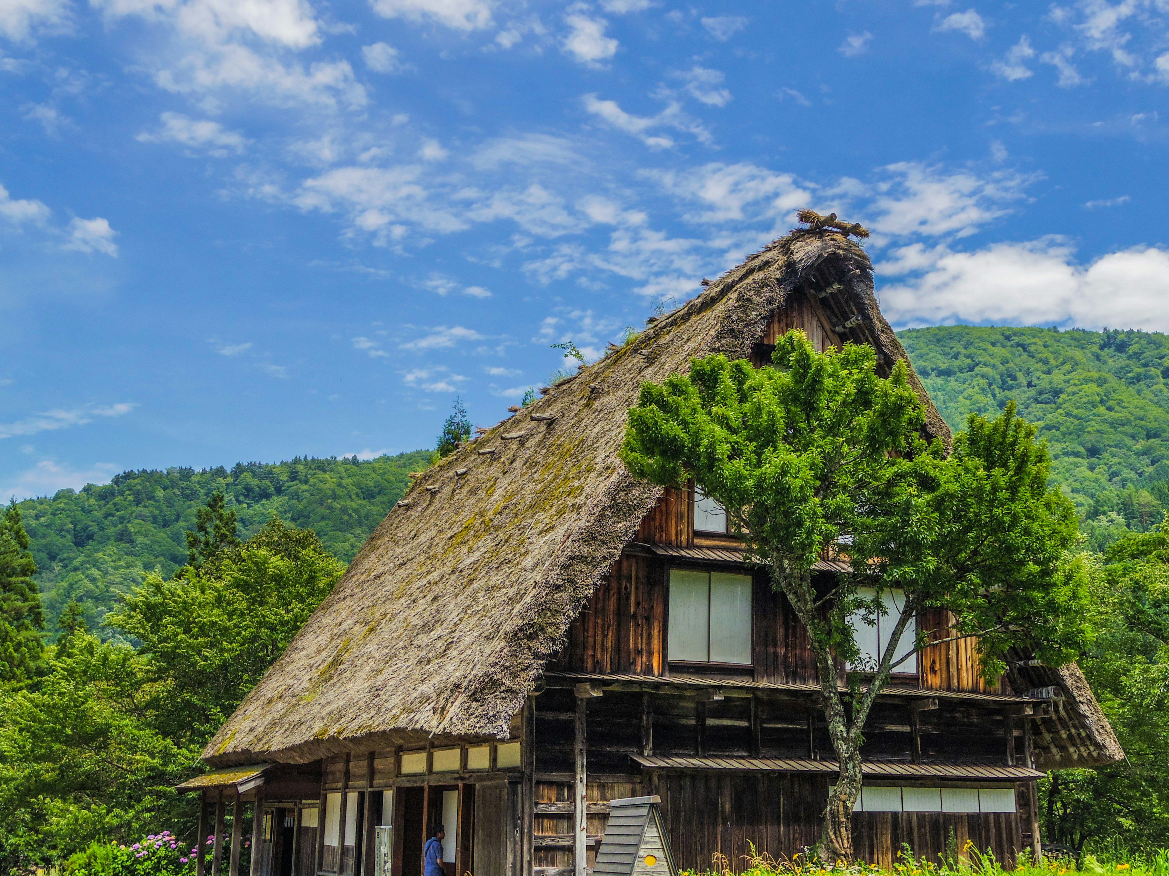 Traditional Japanese gassho-zukuri house with a thatched roof in a mountainous landscape