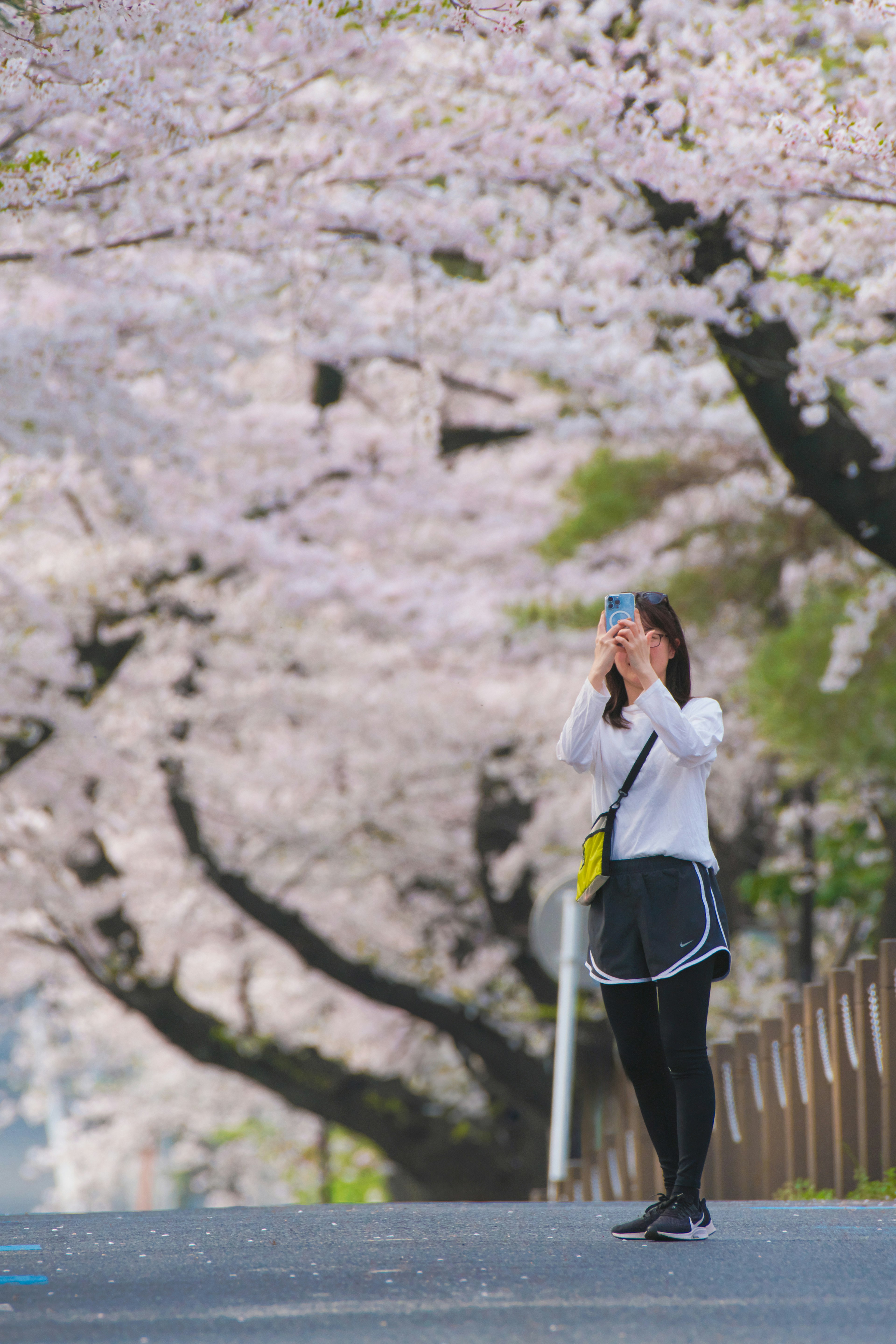 桜の木の下で写真を撮る女性