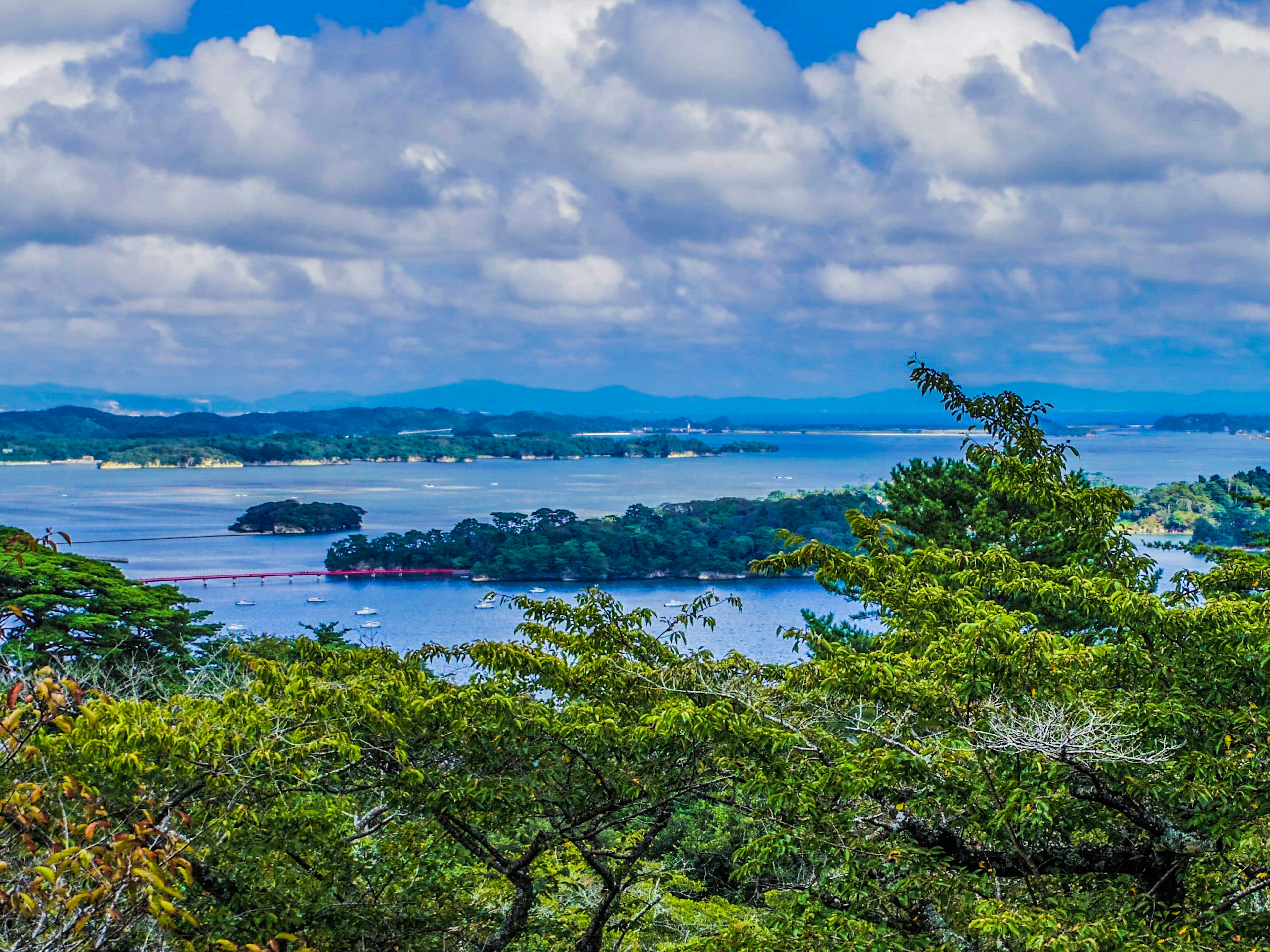 Scenic view of a lush green landscape with a blue sky and water