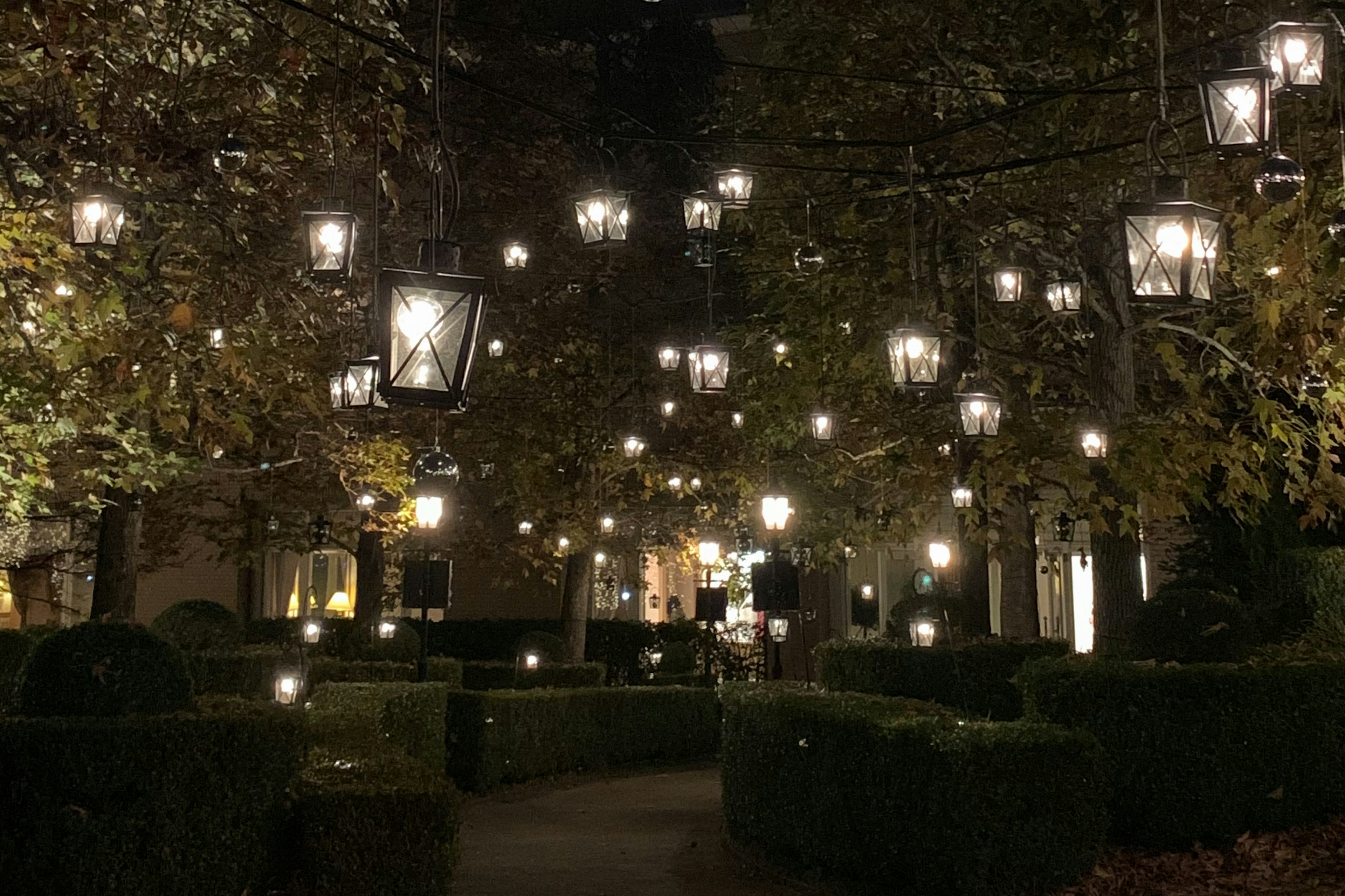 夜の庭に吊るされたランタンが輝く幻想的な風景