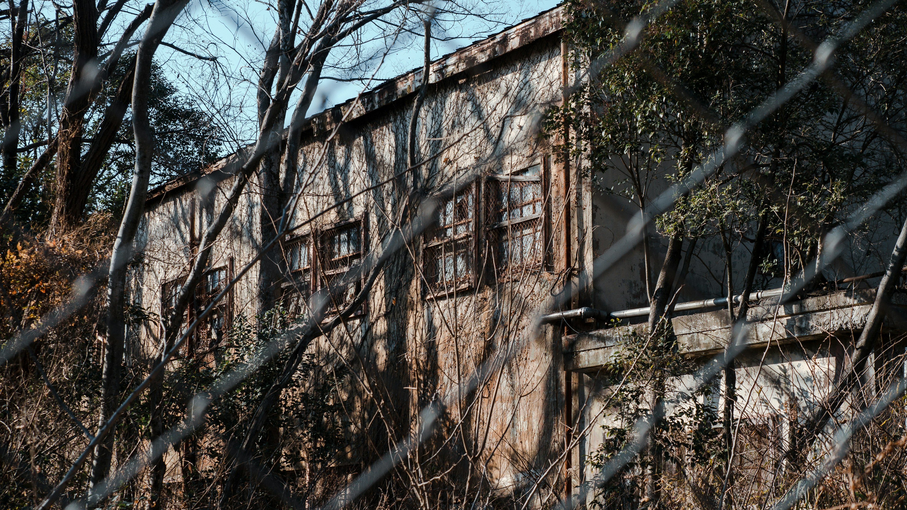 Edificio abandonado parcialmente oculto por vegetación descontrolada