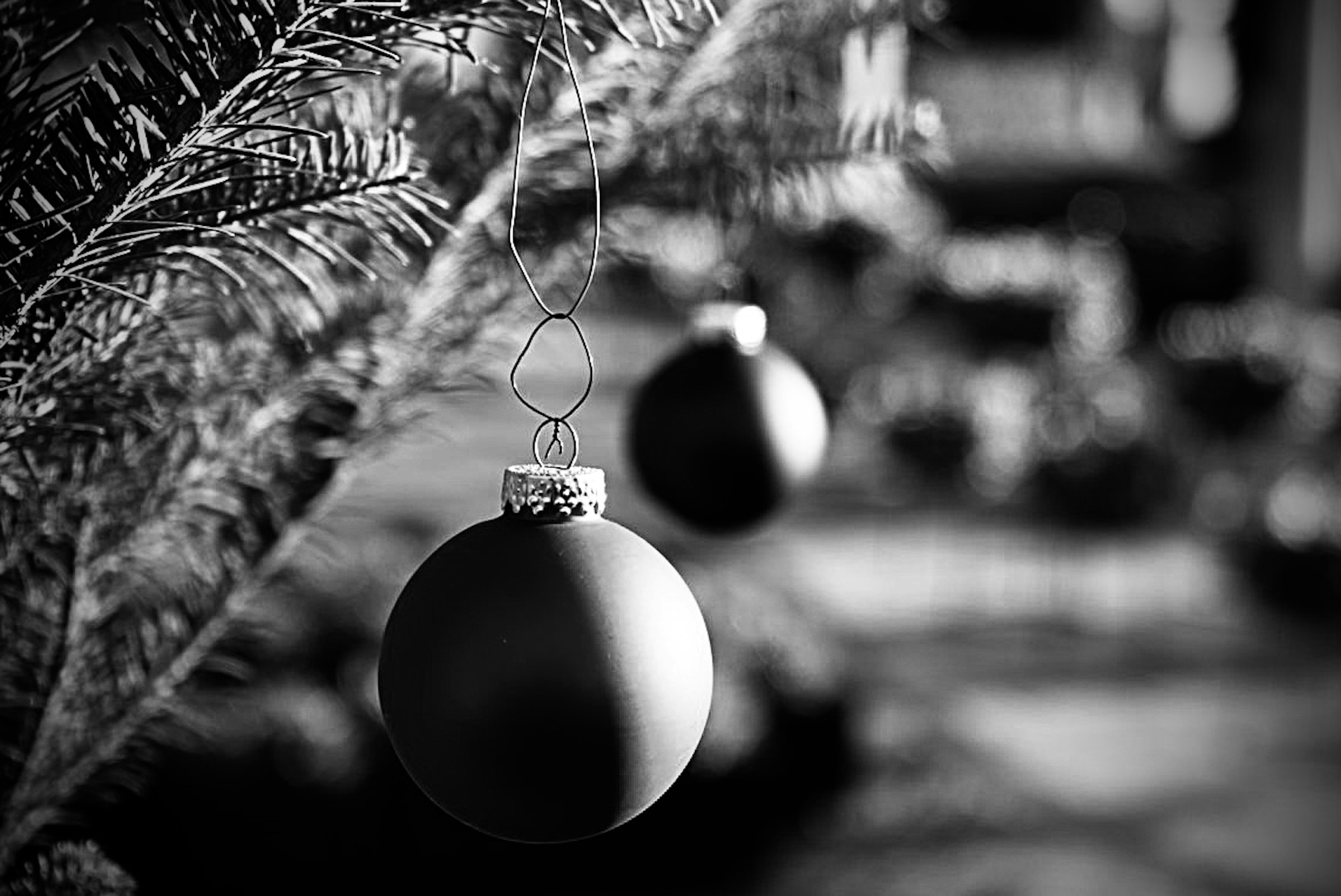 Adornos navideños en blanco y negro colgando de las ramas de un árbol