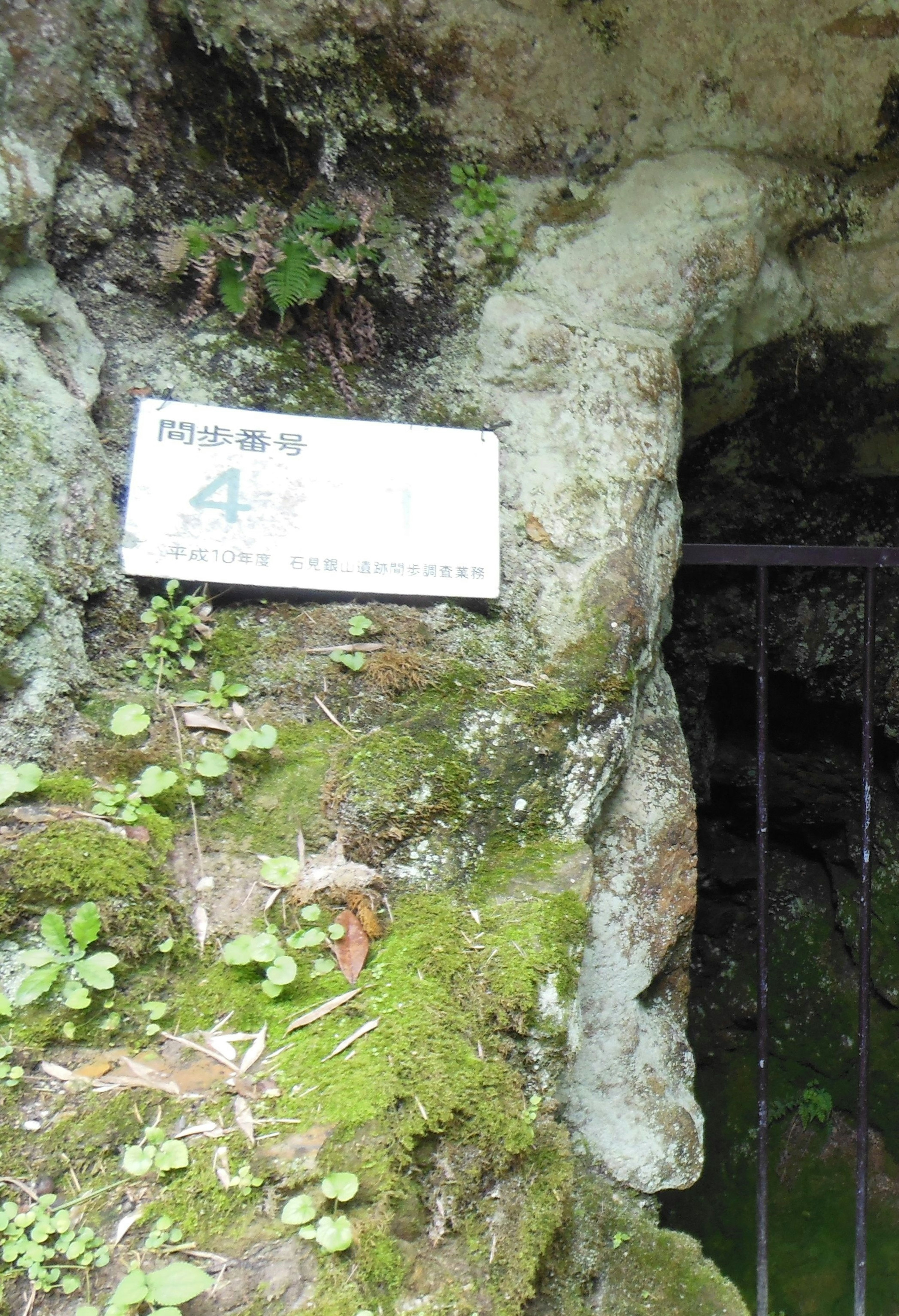 Puerta de metal en una grieta de roca cubierta de musgo con letrero número 4