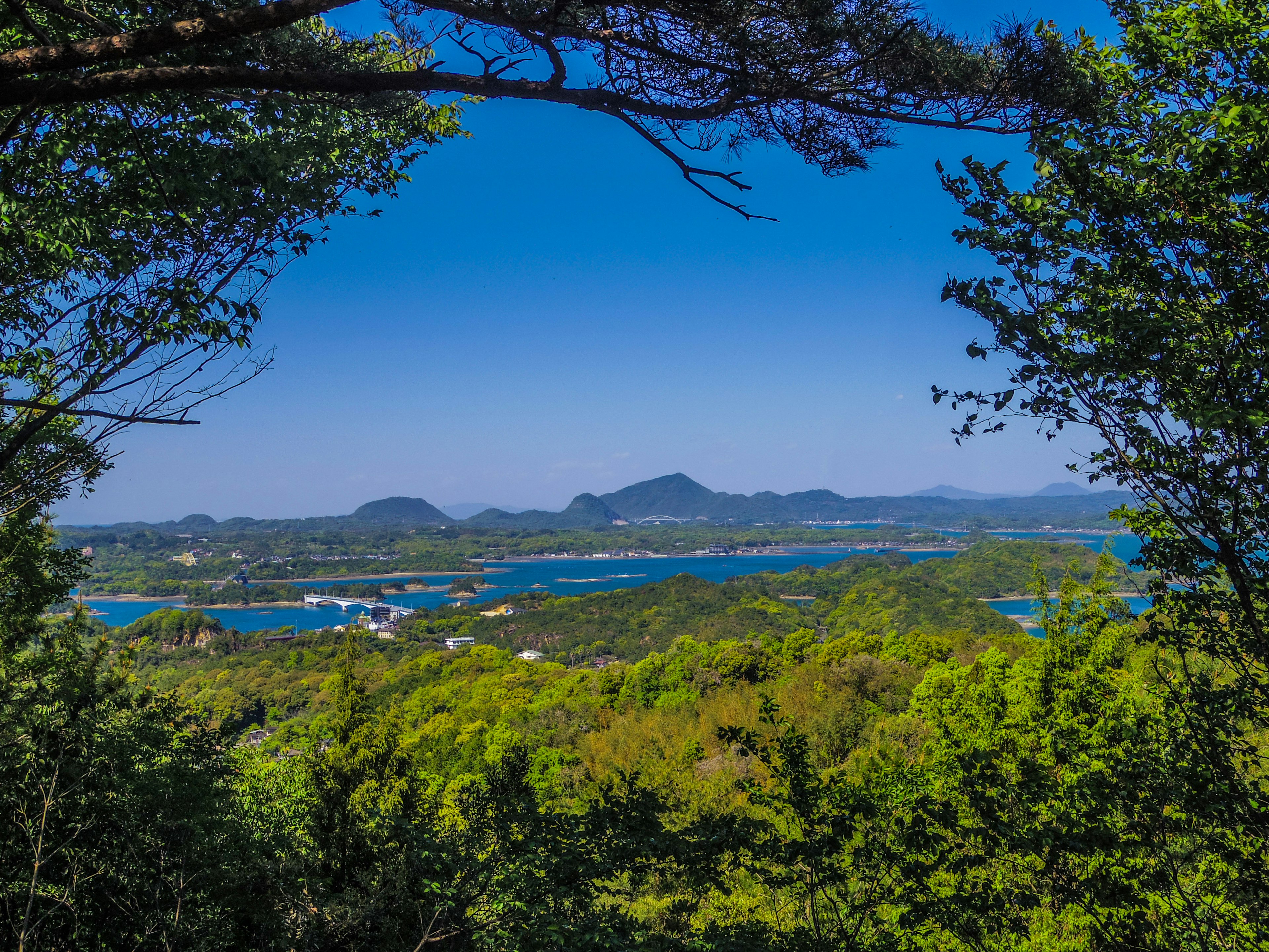 美丽的风景，蓝天和郁郁葱葱的绿色山脉