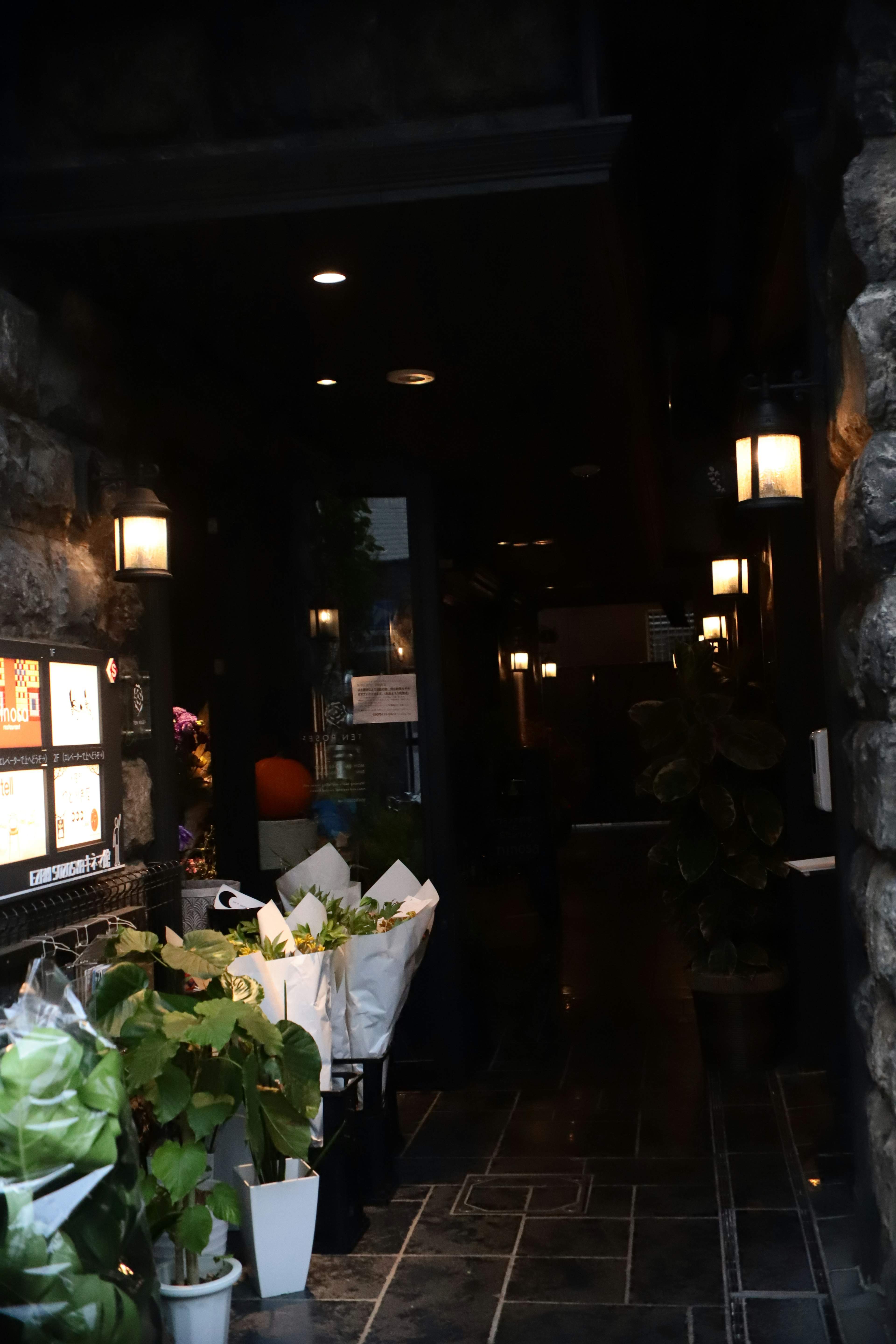 Dark corridor with plants and lights in a stone wall entrance